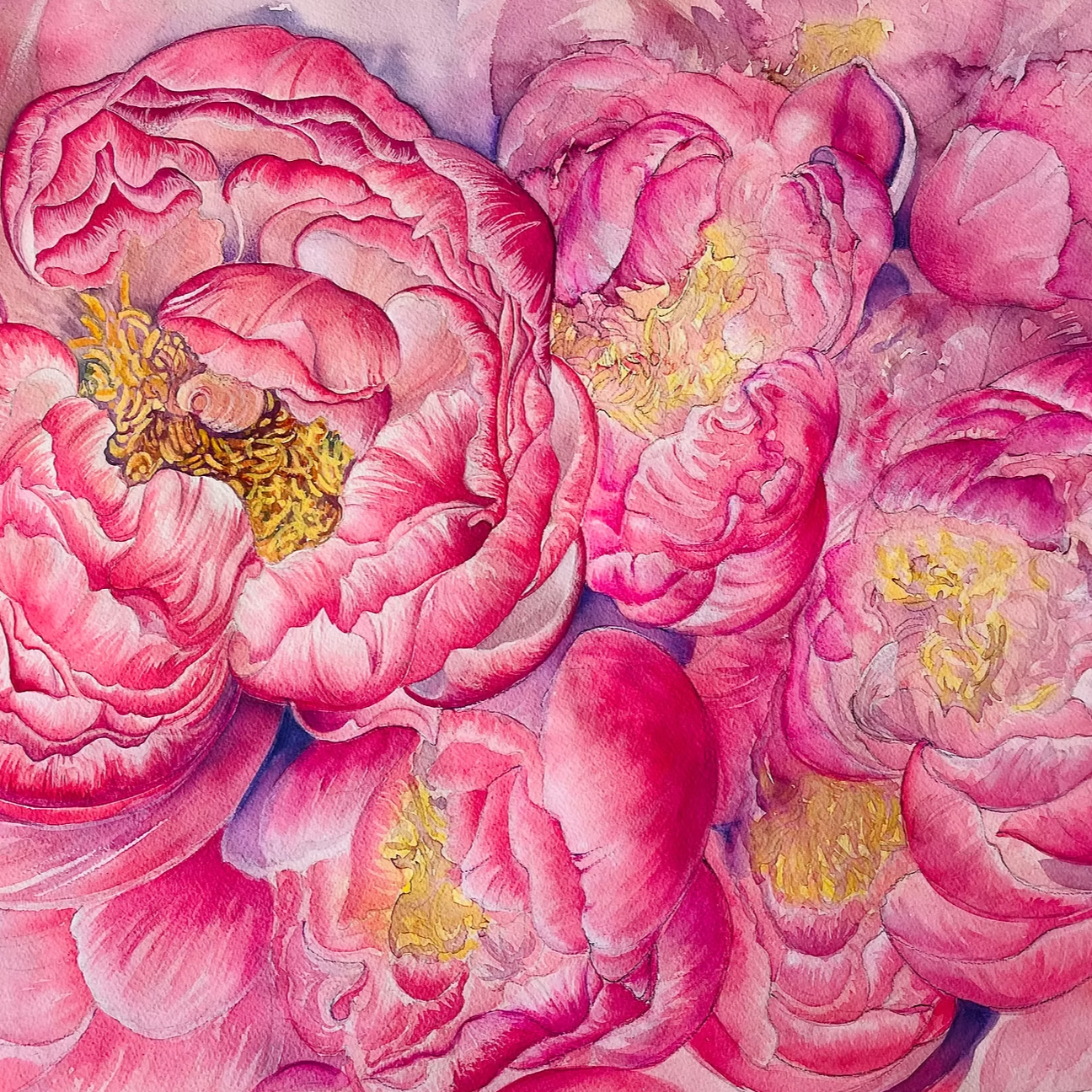 Searing Peonies in Spring
(Paeonia sp.) 2023 
Watercolour on fine art paper 22in high  x 30in  wide. (Landscape)  Private Collection