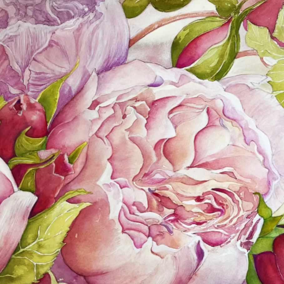Dreams Of Peonies & Rosebuds in Summer
(Paeonia sp. & Rosa sp.) 2023 
Watercolour on fine art paper 22in high x 30in wide (Landscape) - Private Collection