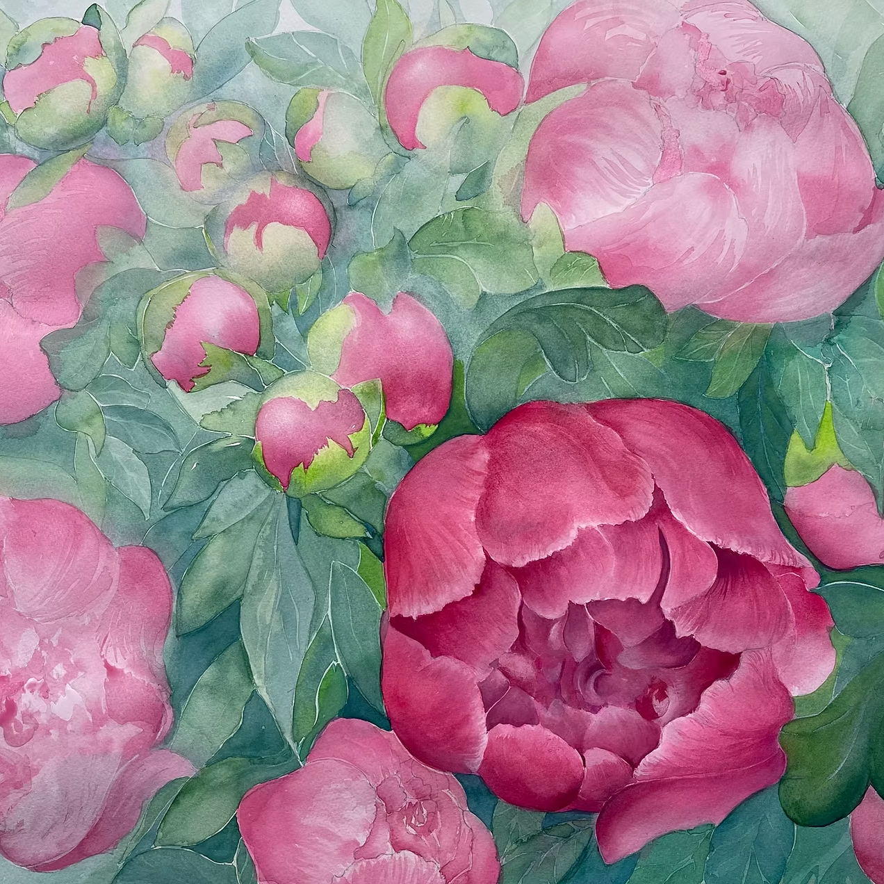 Blissful Peonies in Summer
(Paeonia sp.) 2023 
Watercolour on fine art paper 22in high x 30in wide (Landscape) - Private Collection
