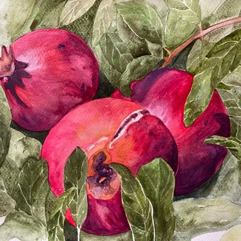 Pomegranate Autumn Sonata
(Punica garantum) 2023
Limited Edition of 10 Fine Art Prints on Archival Paper