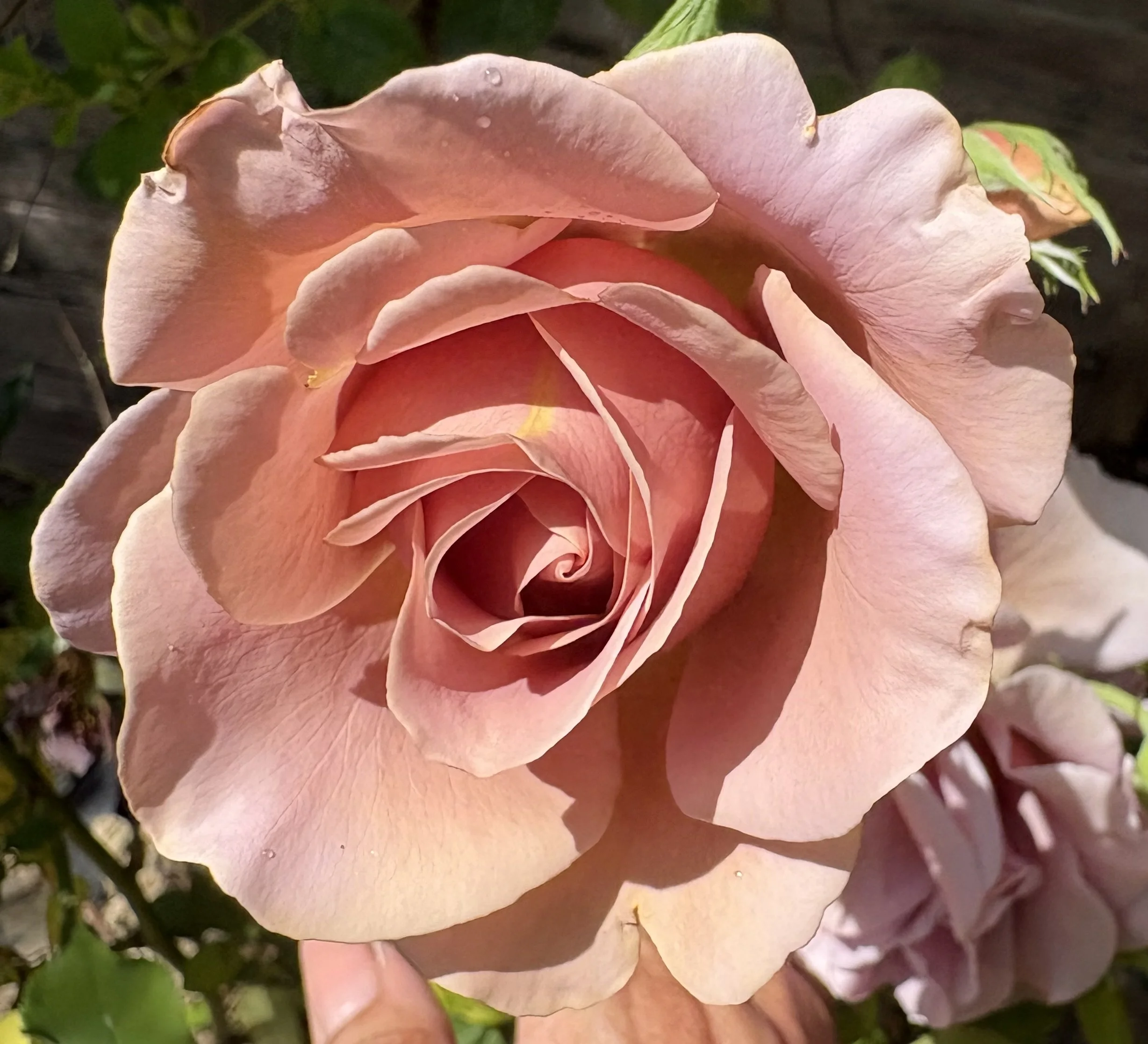 1) My World of Art &amp; Gardening