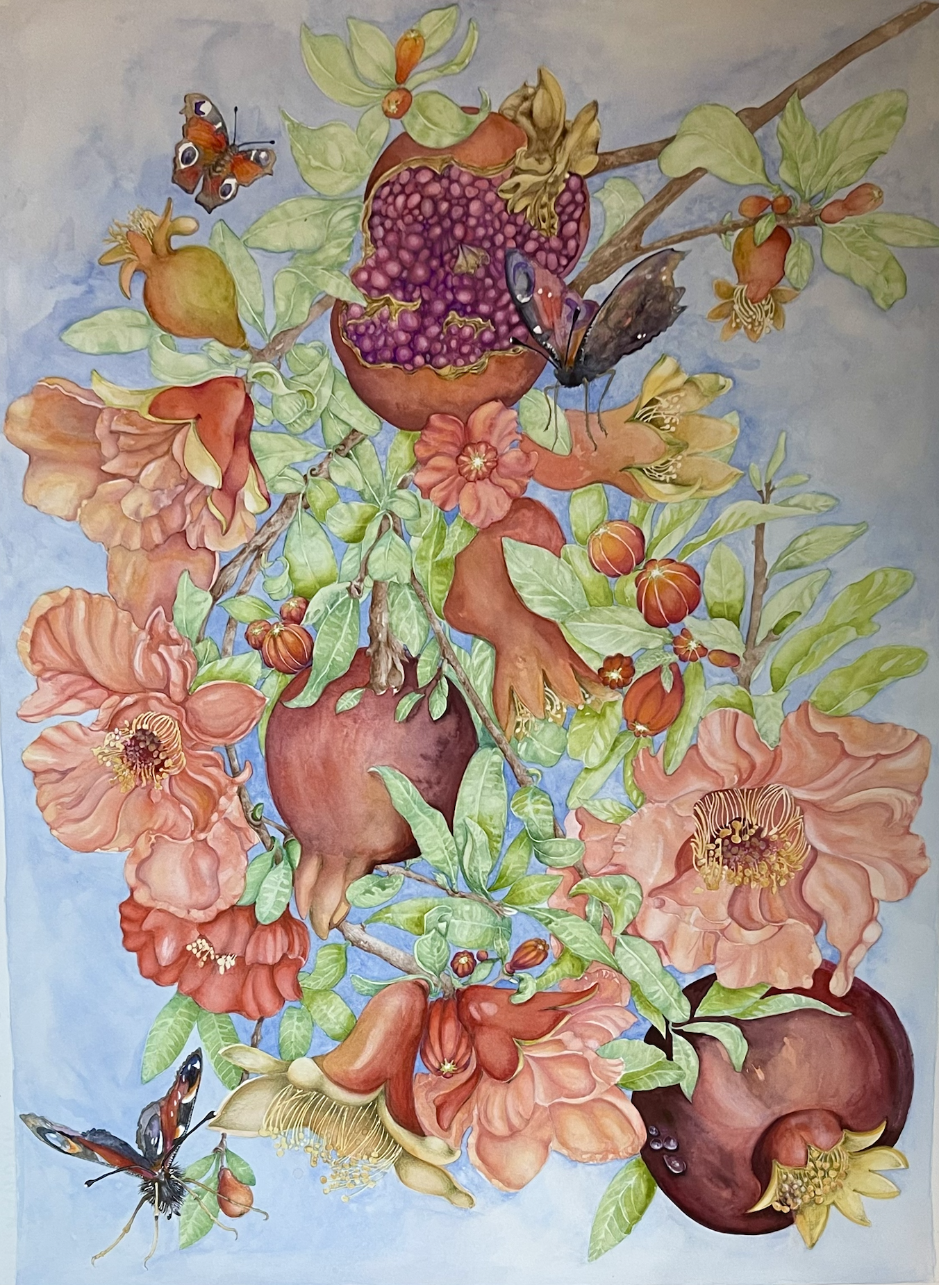 Pomegranate Blossom Butterfly Dance (Punica granatum) 2025. Watercolour on paper 
22in x 30in (portrait) 