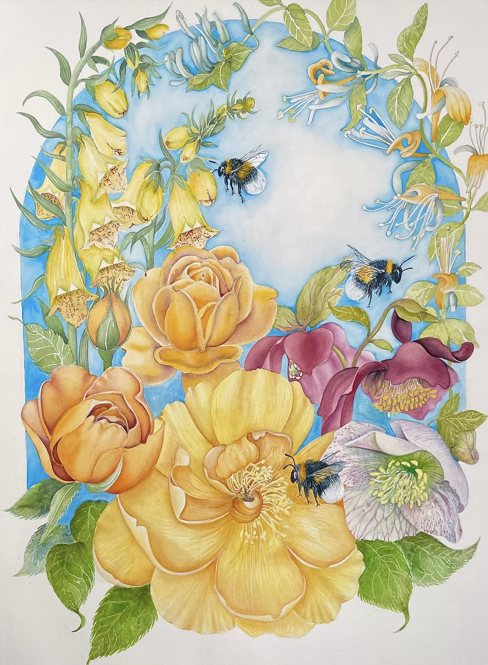 Summer Daze (Helleborus x hybridus) 2023 22in x 30in. Watercolour on paper (portrait)