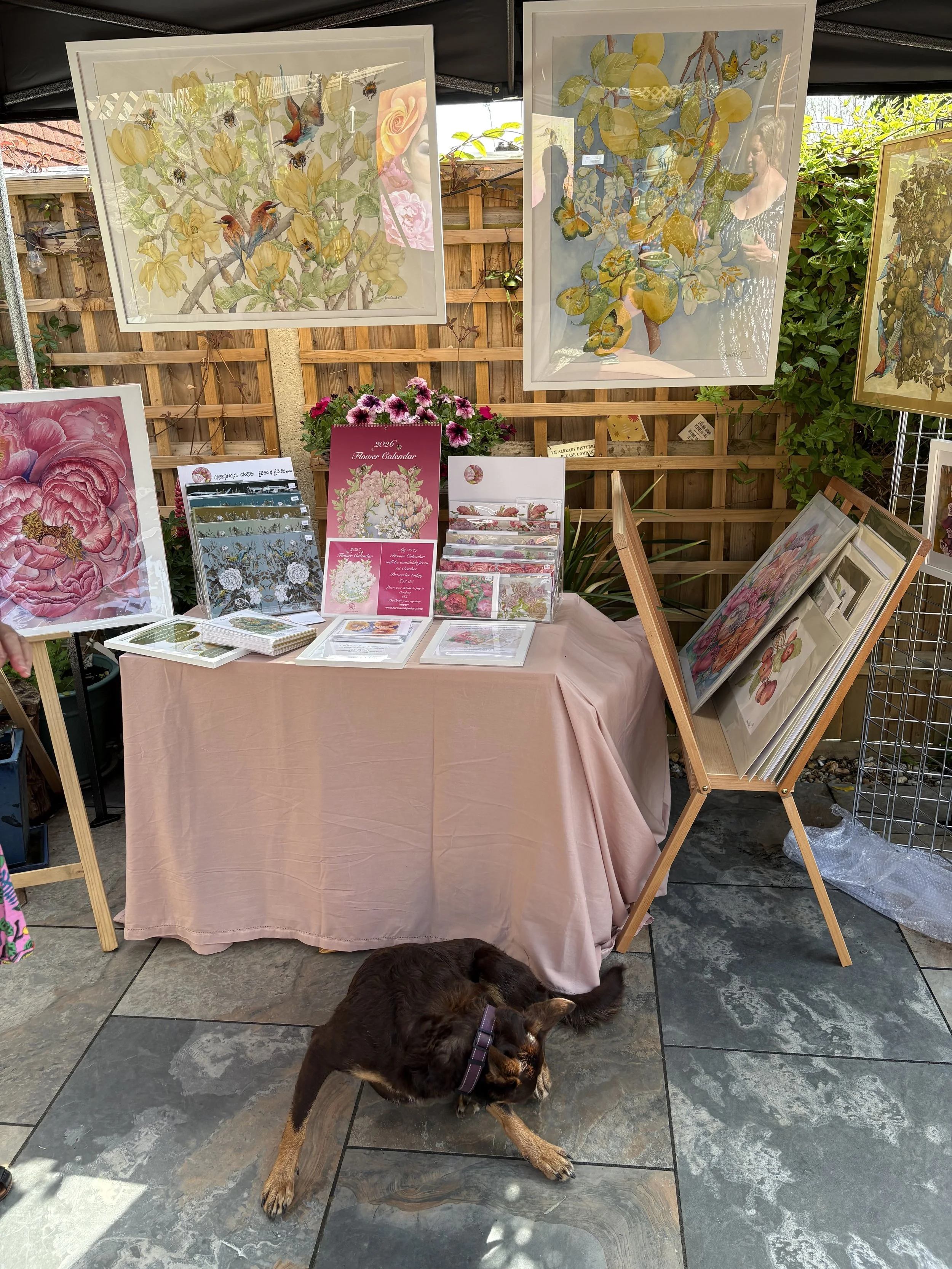 Photograph of paintings, prints, greetings cards and calendars for sale at The Lindfield Art Trail