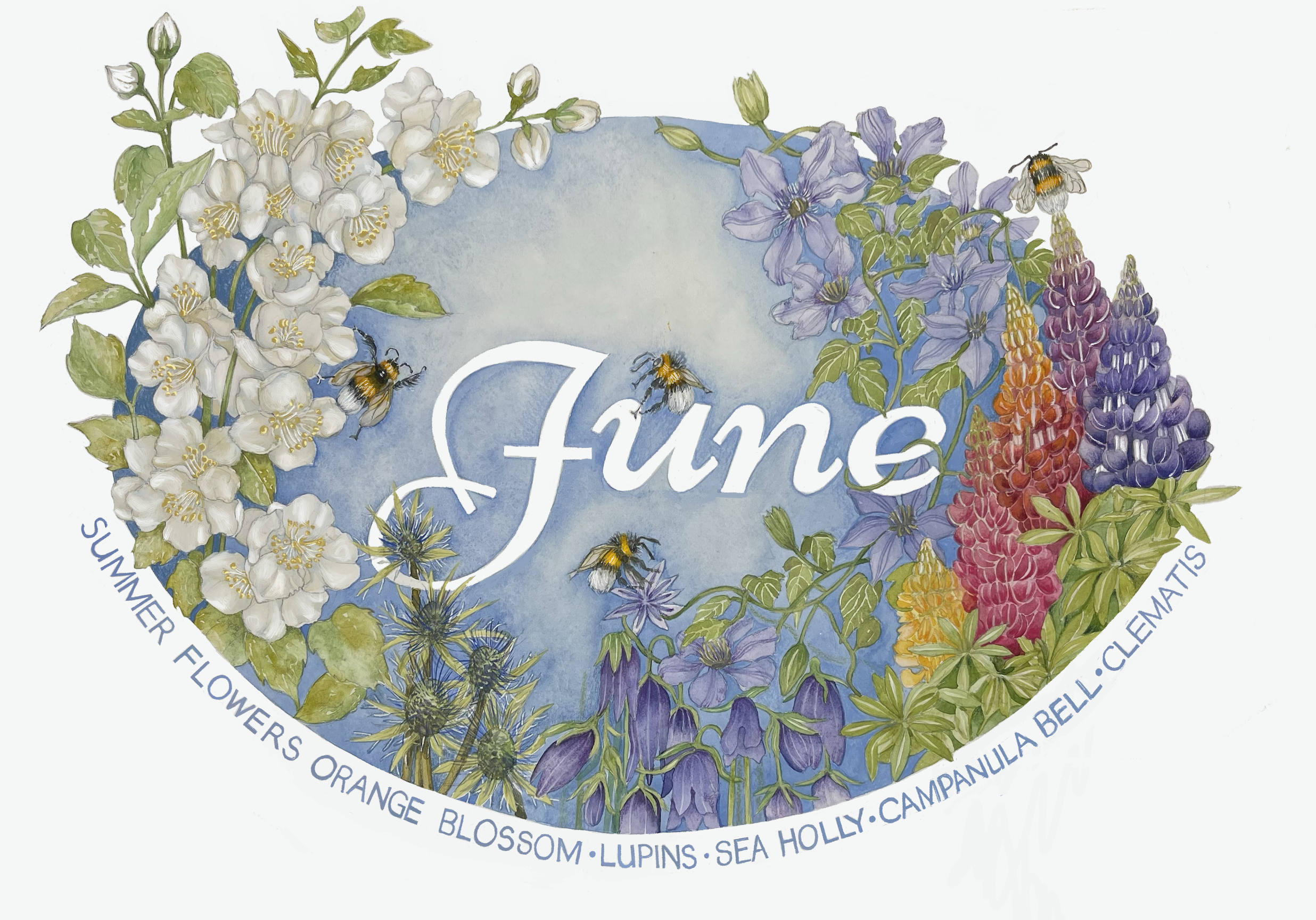 June in Bloom 2024 ~ 24in x 18in watercolour on paper. 