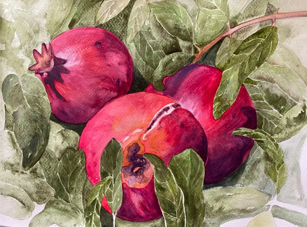 Pomegranate Autumn Sonata 
(Punica granatum) 2023 
Watercolour on fine art paper 18in high x 24in wide (Landscape) ~ Available