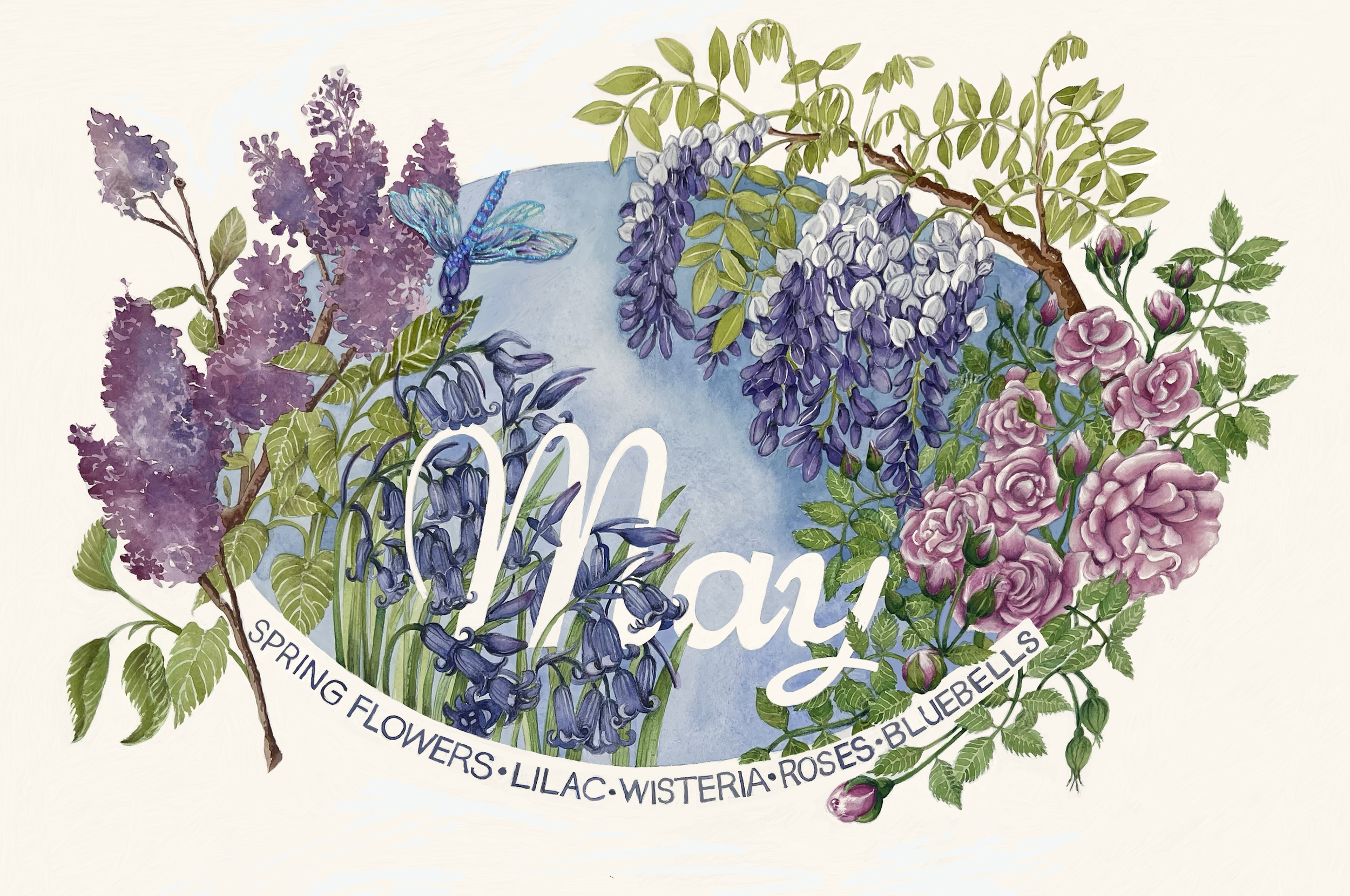 May in Bloom 2024 ~ 24in x 18in watercolour on paper. 