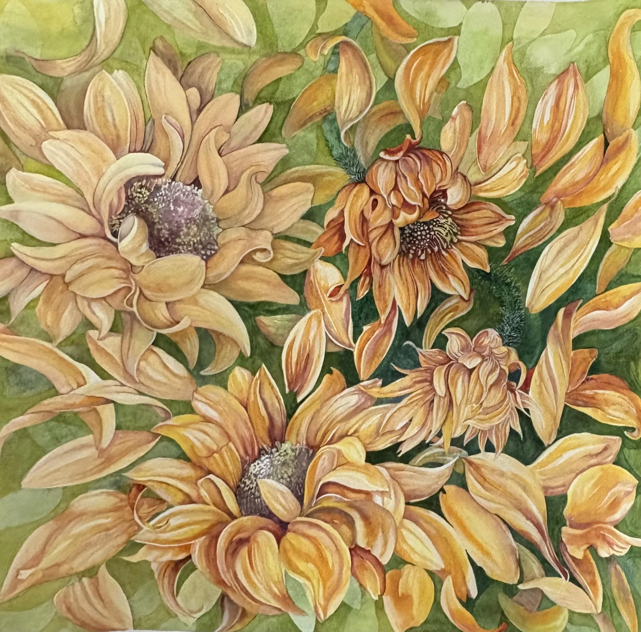 Turning Towards The Sun (2026) 22in x 22in Watercolour on 400gsm paper (sqaure format)