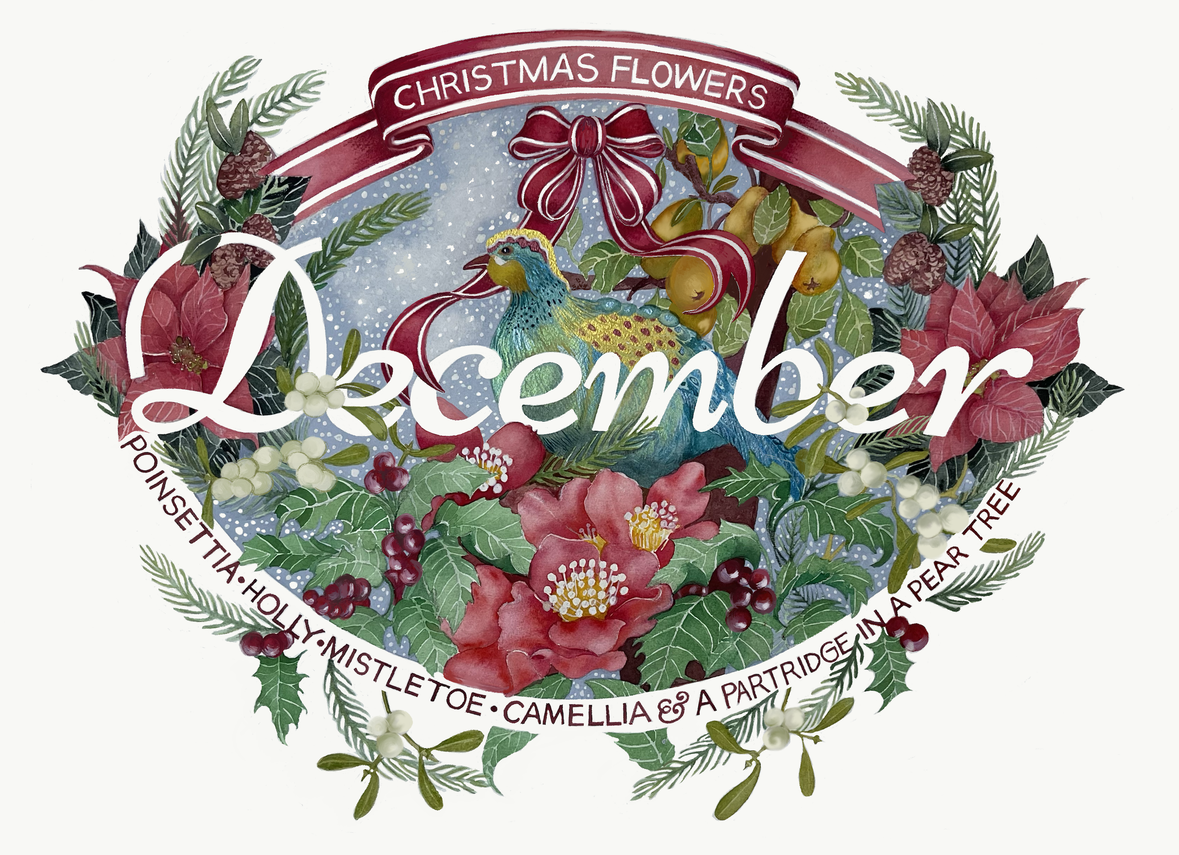 December in Bloom 2024 ~ 24in x 18in watercolour on paper. 