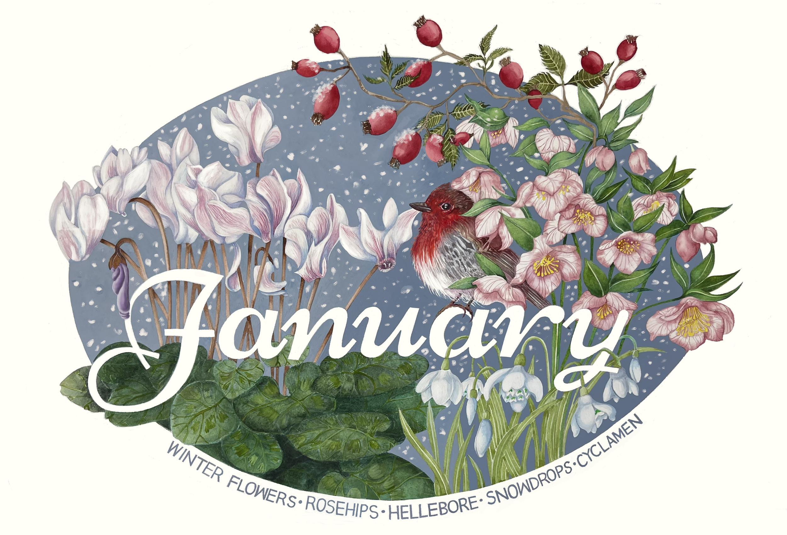 January in Bloom 2024 ~ 24in x 18in watercolour on paper. 