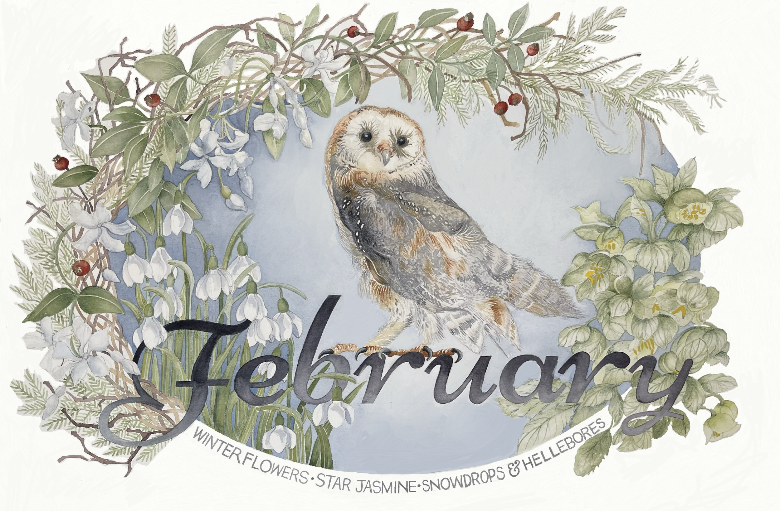 February in Bloom 2024 ~ 24in x 18in watercolour on paper. 