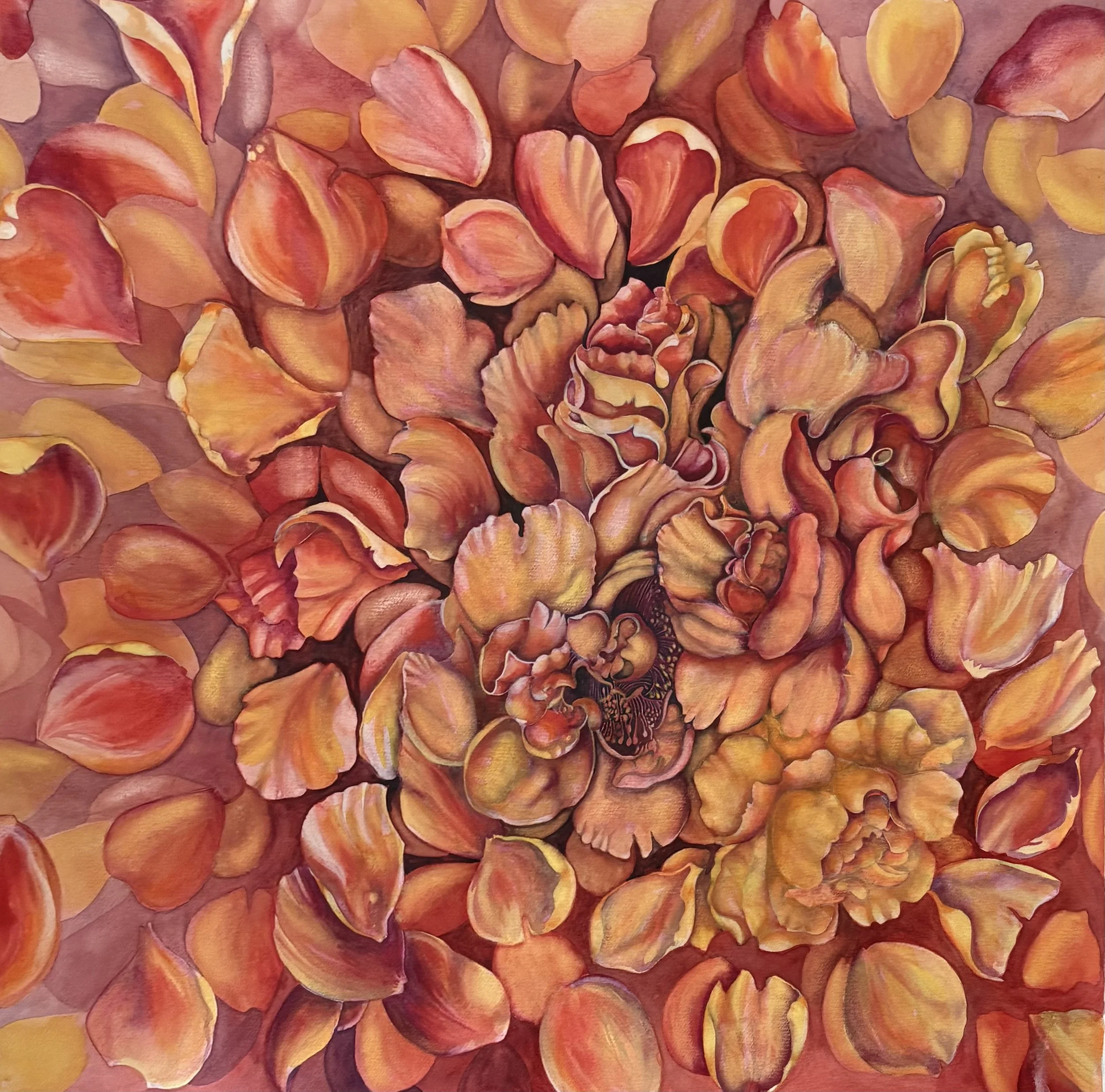 Roses Unfurling (2026) 22in x 22in Watercolour on 400gsm paper (sqaure format)