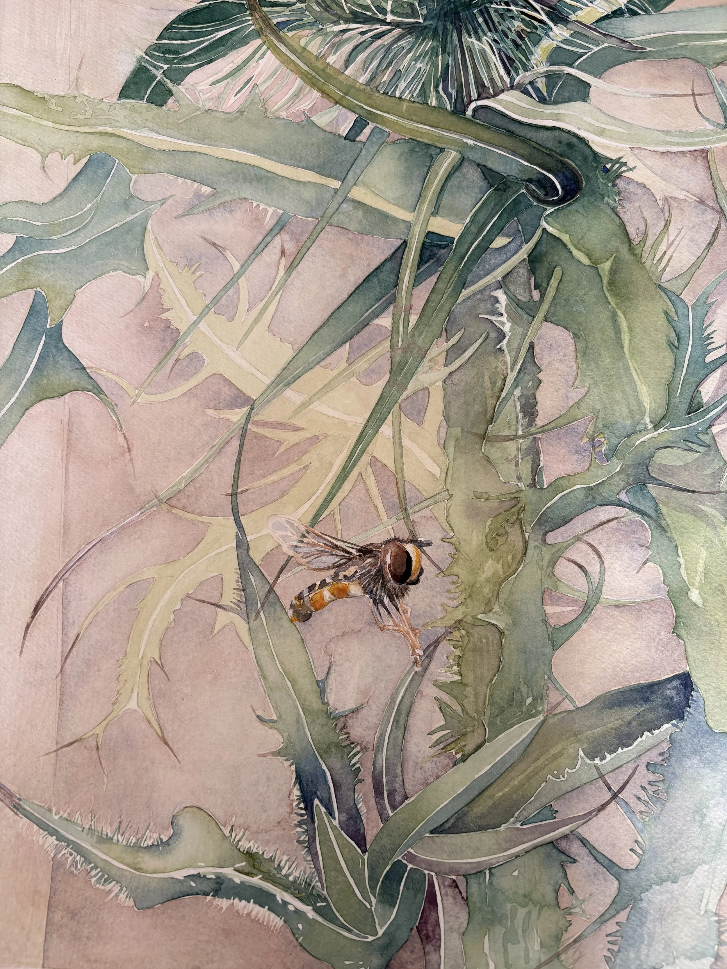 A detailed watercolor painting of a bee on a plant with spiky leaves.