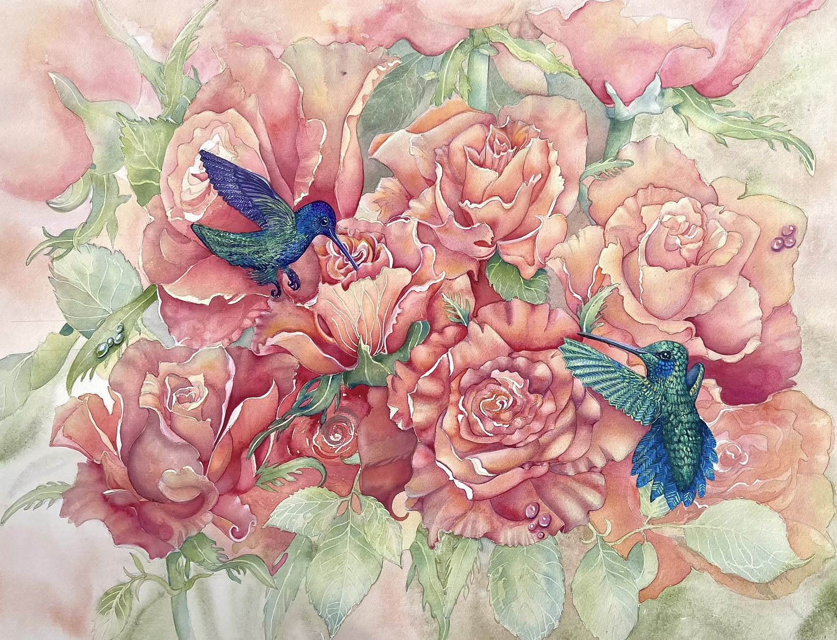 Sweet Sips of Fragrance  (Rosa spp.) 2025
24in x 18in Watercolour on paper (landscape) 