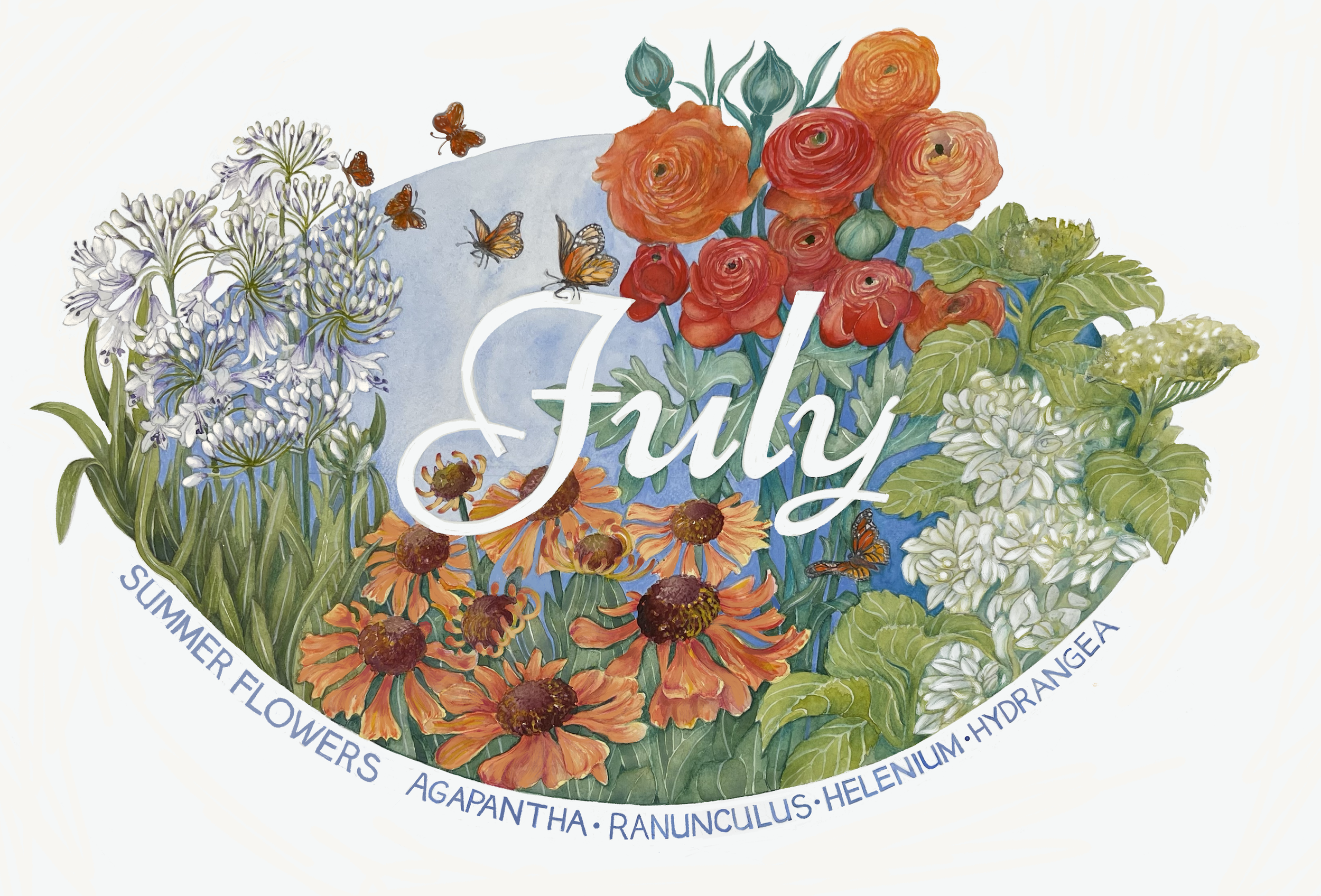 July in Bloom 2024 ~ 24in x 18in watercolour on paper. 