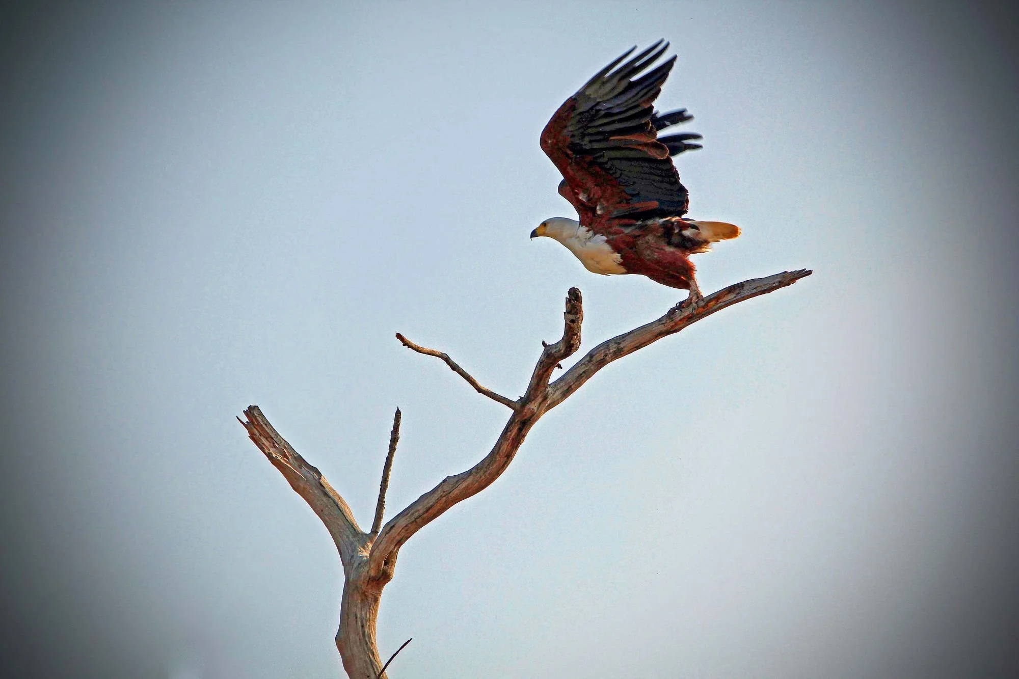 IMG_3364 s.jpg