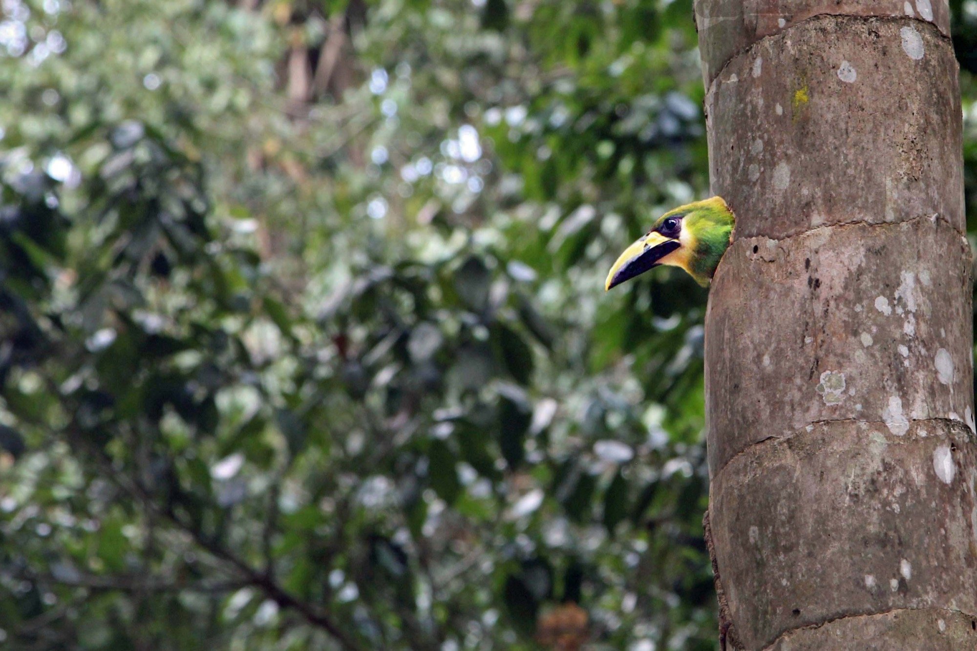 IMG_4651 bewerk x.jpg