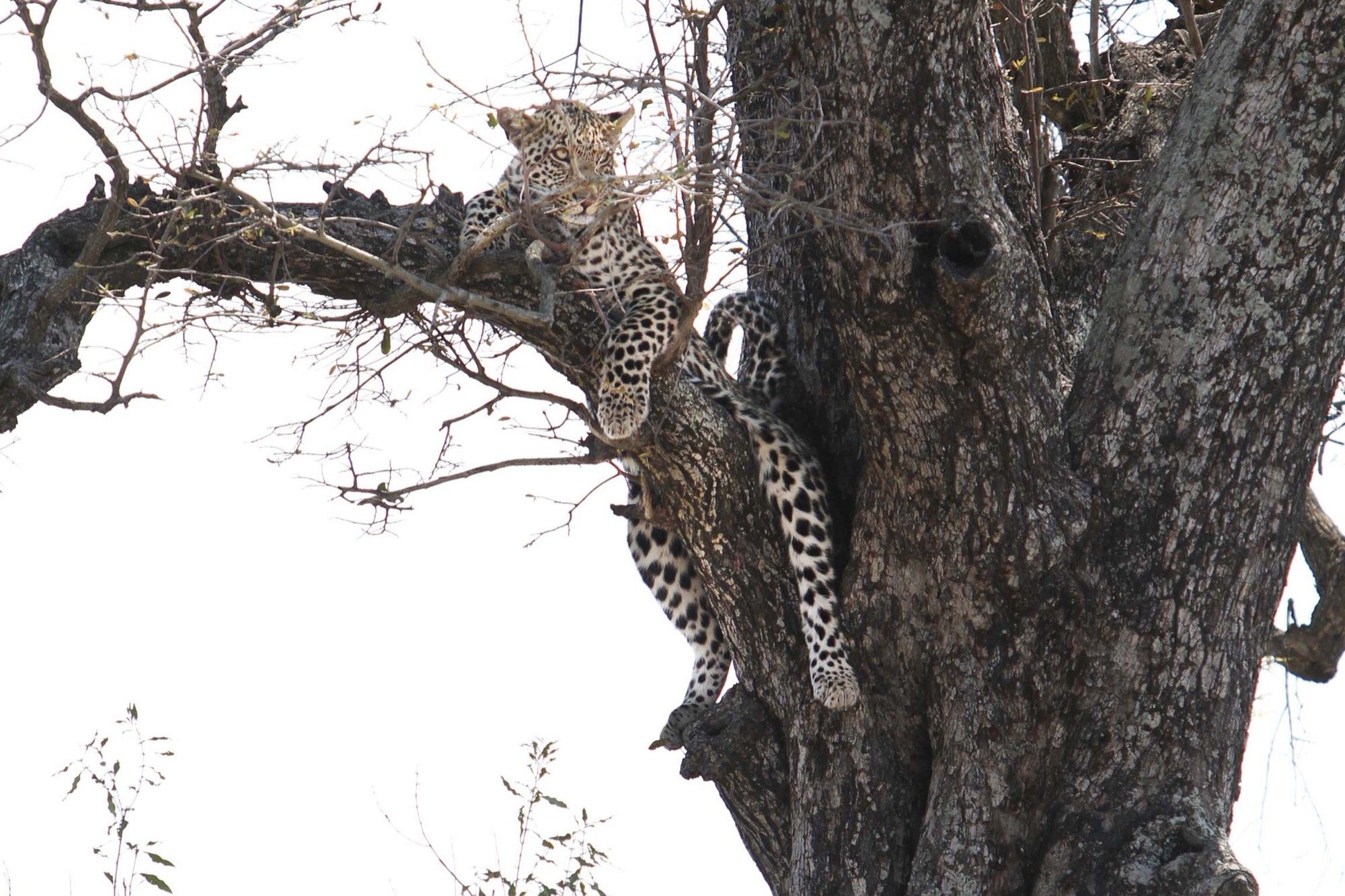 IMG_3392 bewerk 3.jpg