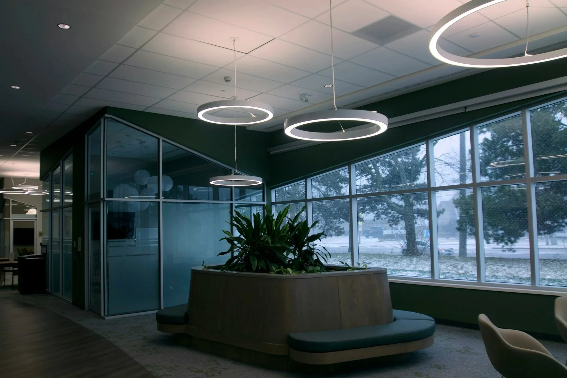 Modern lobby with circular pendant lights, large windows showing trees outside, a potted plant, and a glass enclosed meeting room.