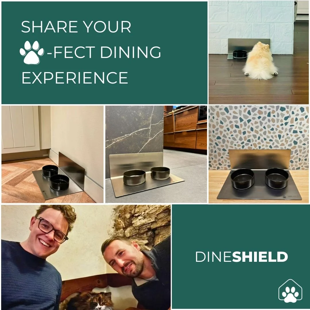 Collage: DineShield Edelstahl-Futterplatz in verschiedenen Küchen mit schwarzen Näpfen – Premium-Design und Vielfalt