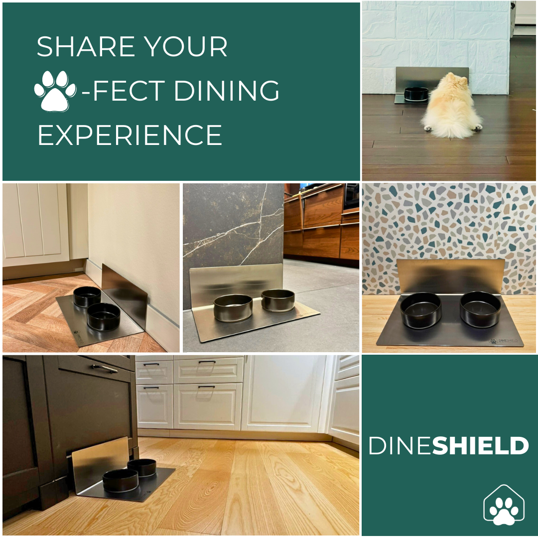 Collage: DineShield Edelstahl-Futterplatz in verschiedenen Küchen mit schwarzen Näpfen – A Perfect Dining Experience