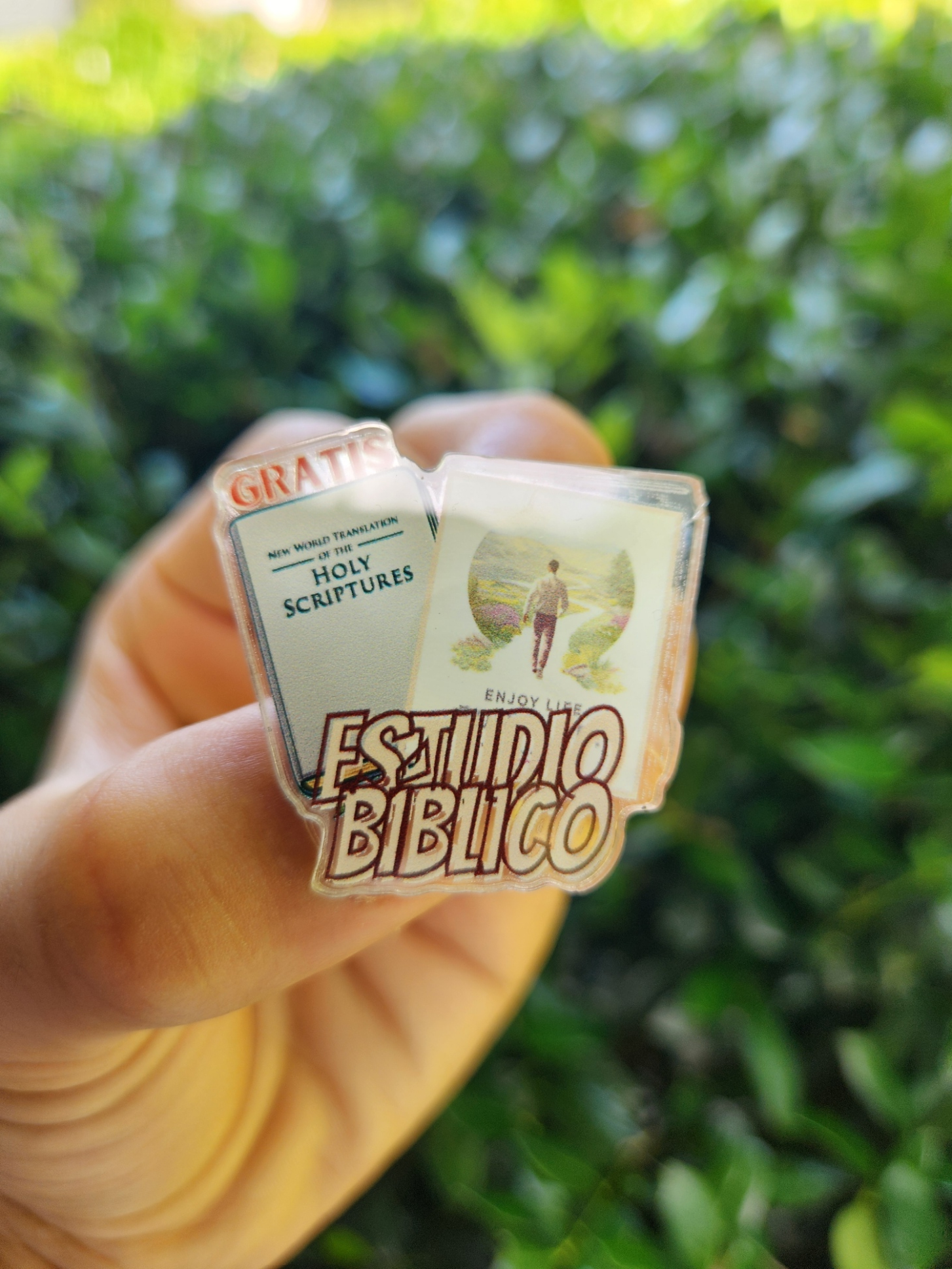 JW Spanish Pins | Insignias de Estudio Biblico JW