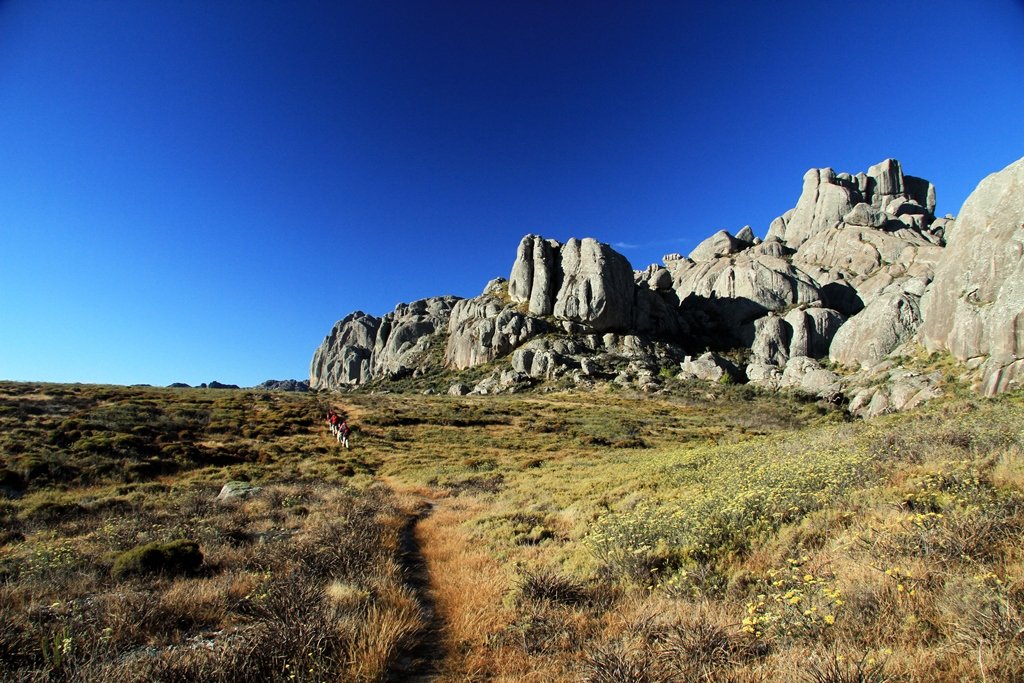 Madagascar  (49).jpg