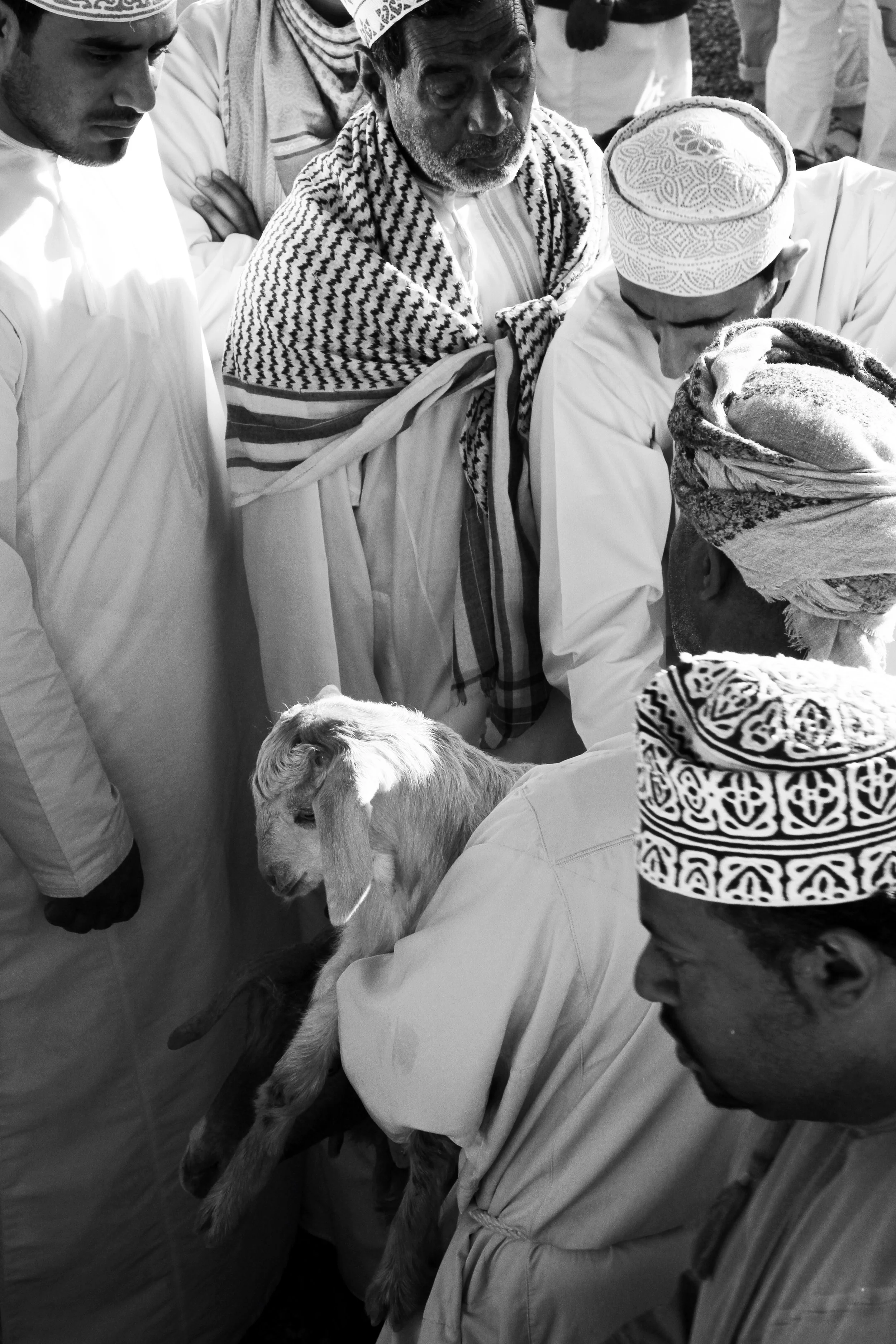 Oman 1680ab.jpg