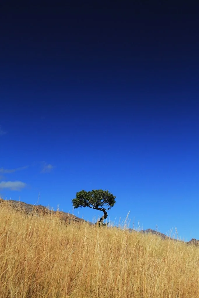 Madagascar  (42).jpg