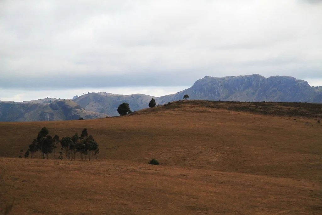 Madagascar  (16).jpg