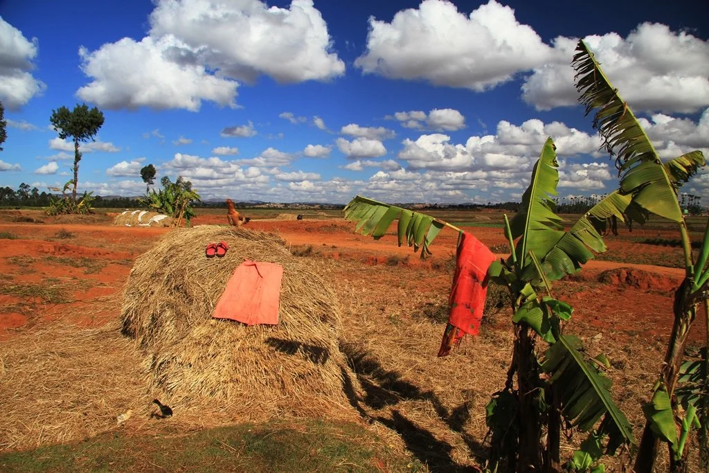 Madagascar  (10).jpg