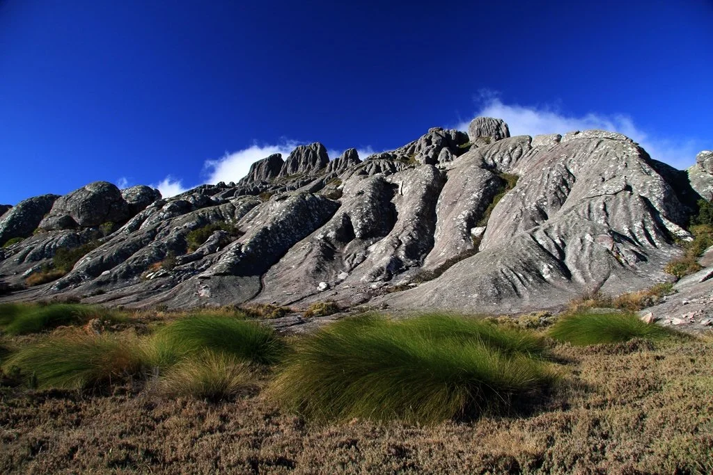 Madagascar  (56).jpg