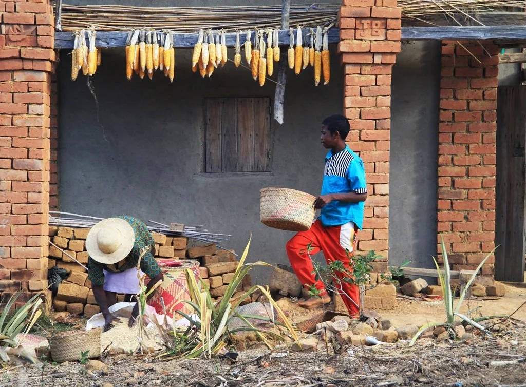 Madagascar  (37).jpg