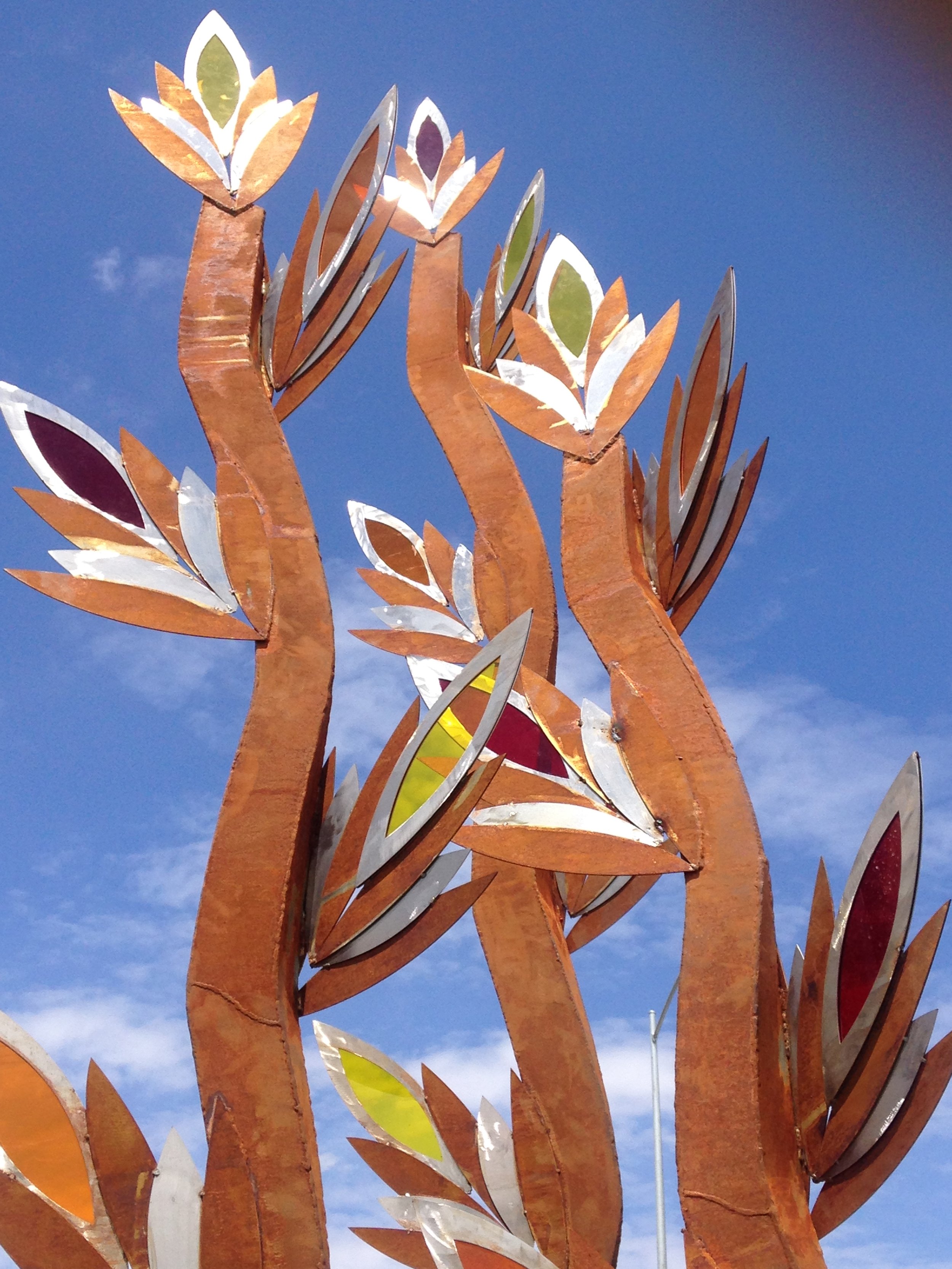 Fire Grasses
📍 Bob Olsen and 10th ave. roundabout, Kennawick WA. 
2016