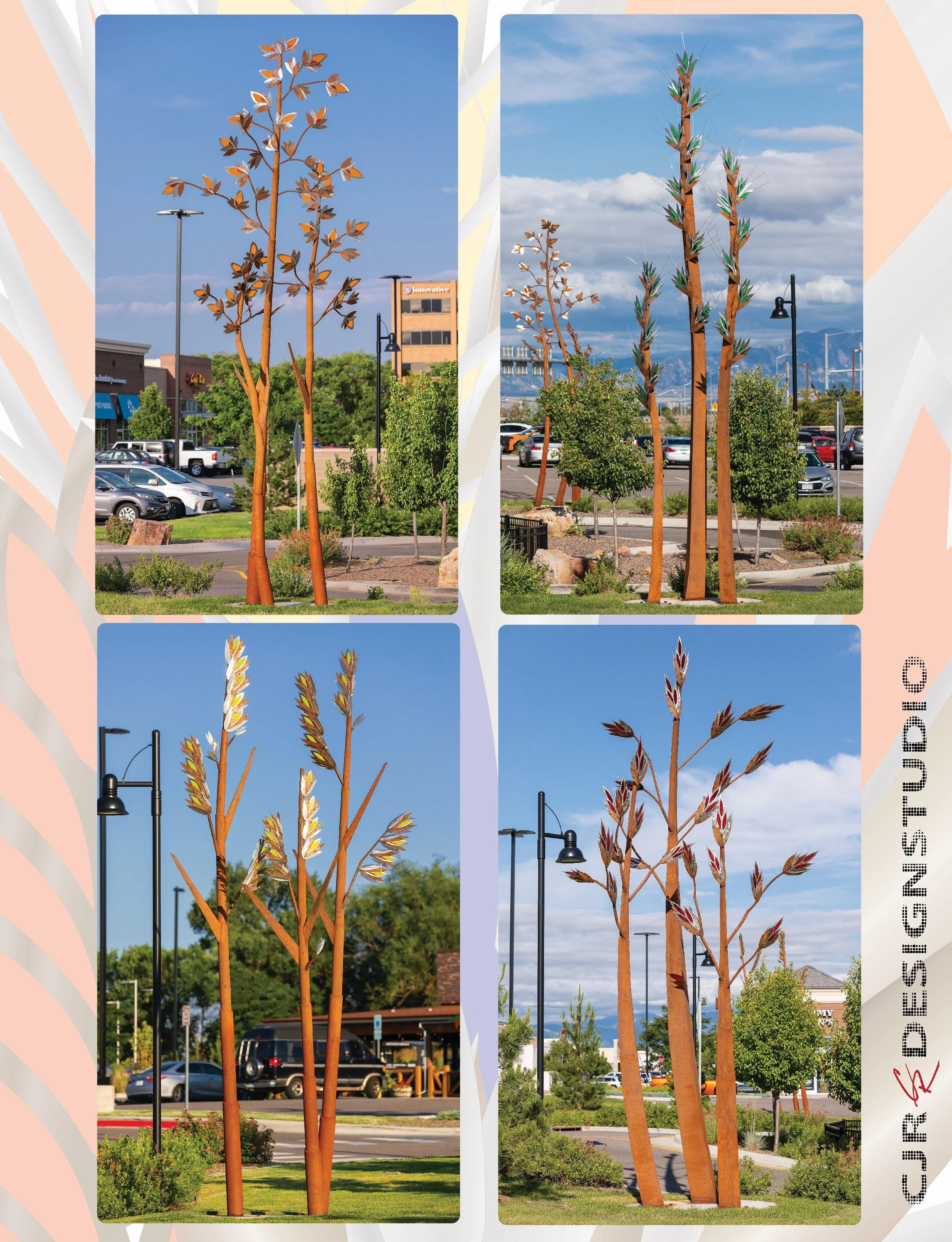 Natives
📍Northglen CO. 
2019 