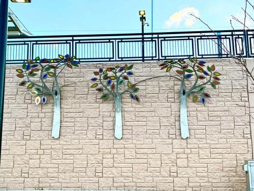 Urban Trees
📍Thornton CO.
18' long
2023