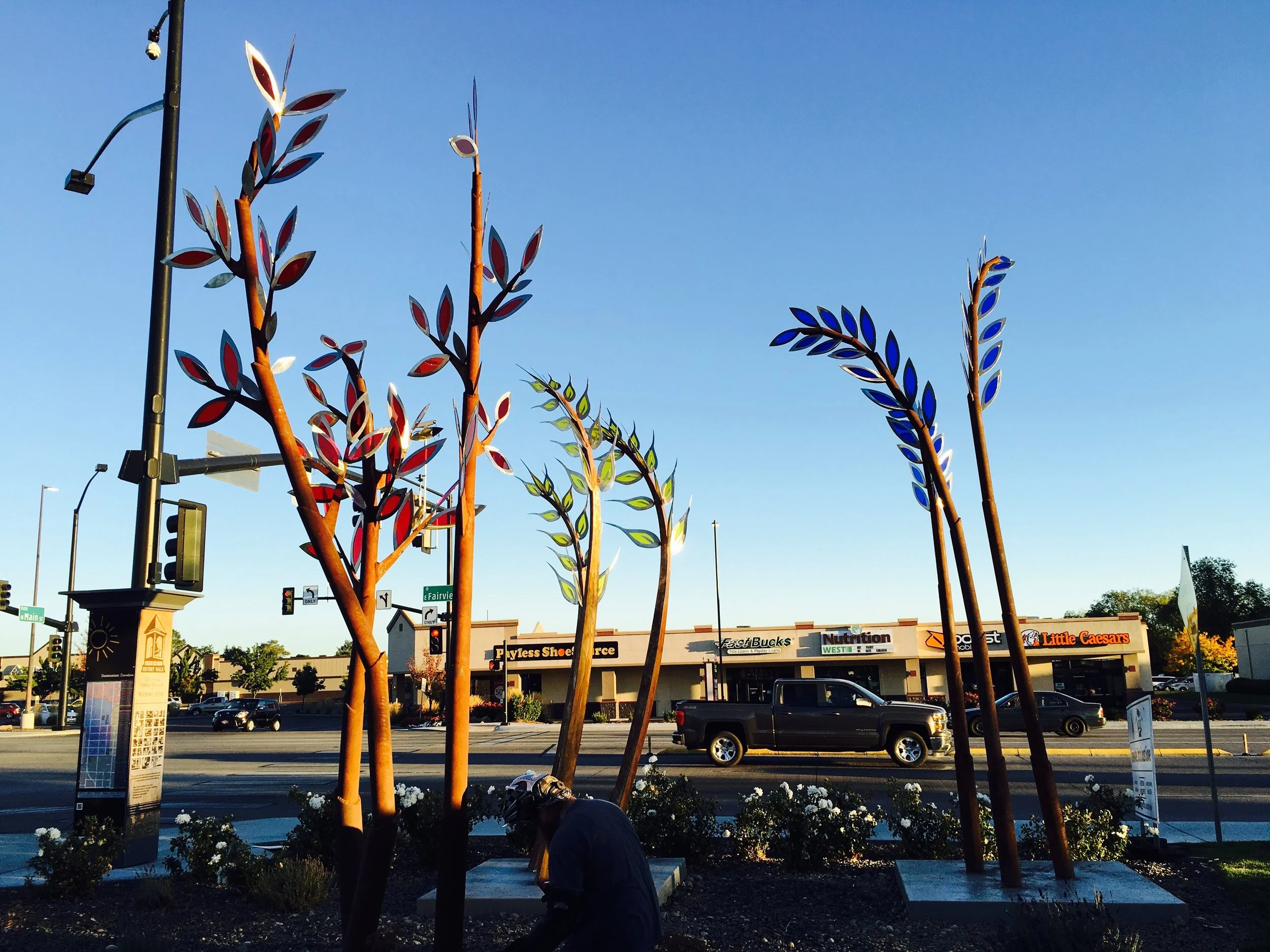 Native Grasses
📍Meridian ID. 
2016