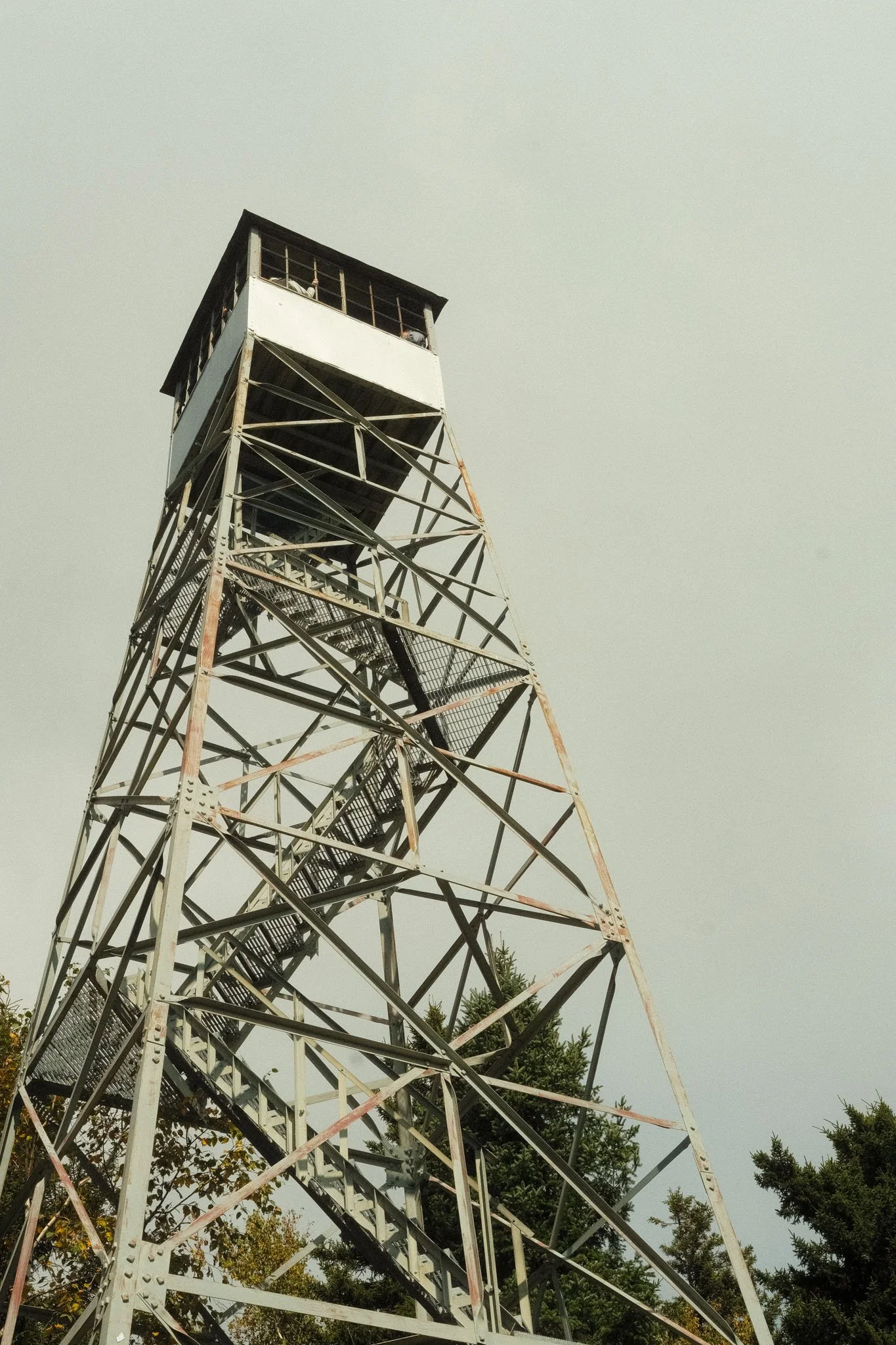 DSCF9523.jpg