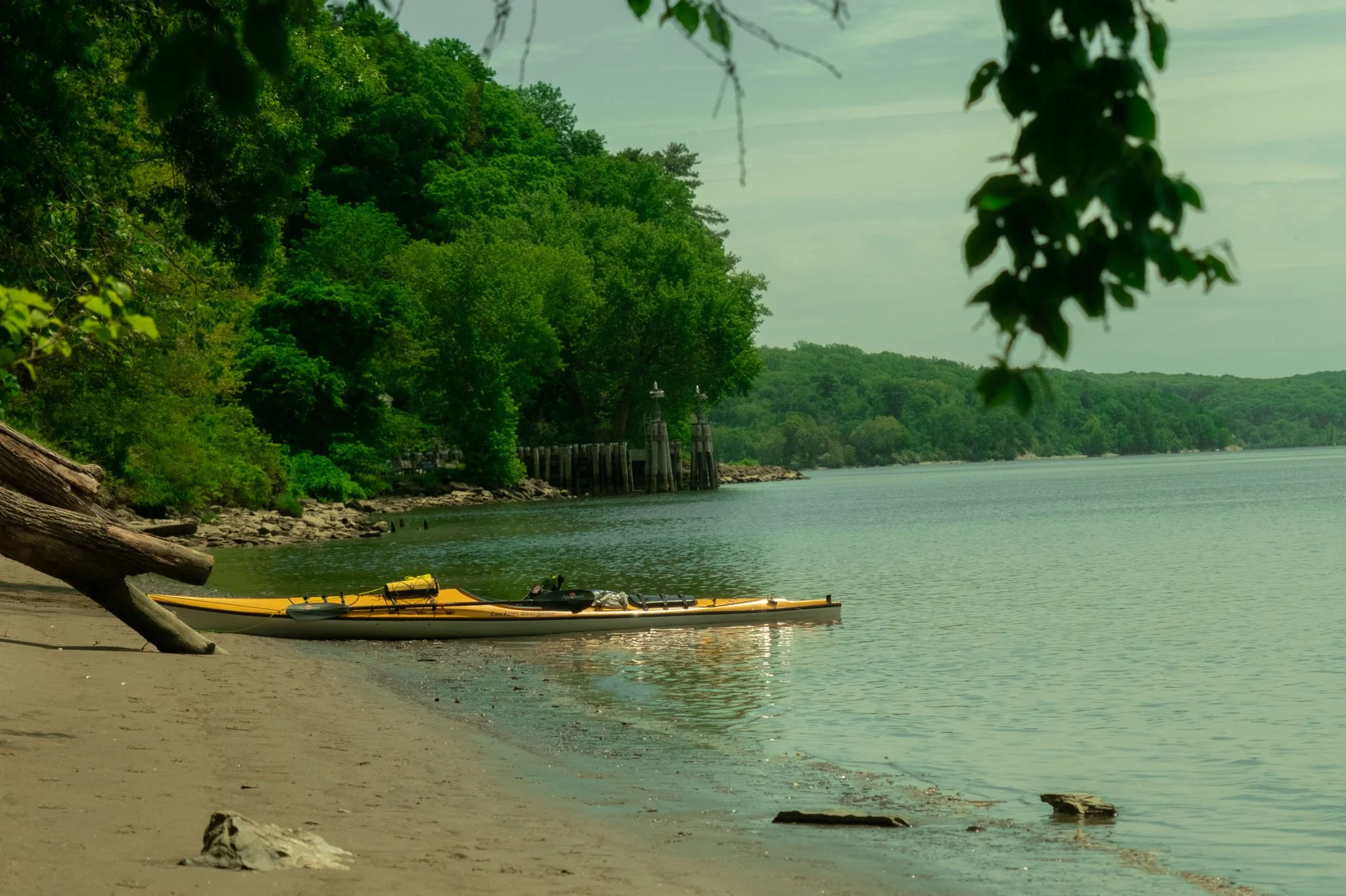 DSCF0806.jpg