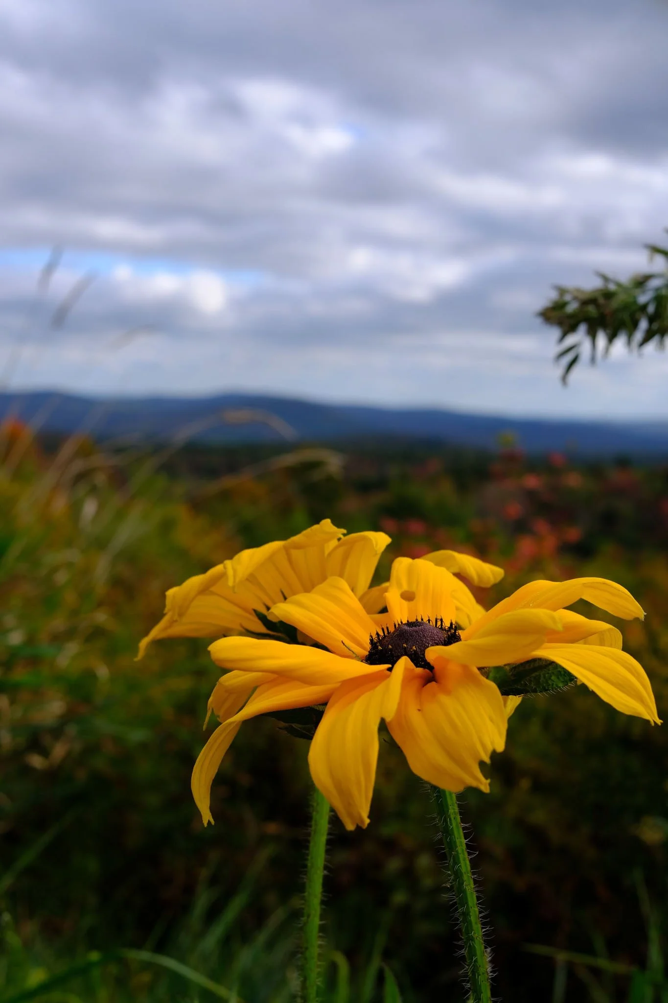DSCF9579.jpg