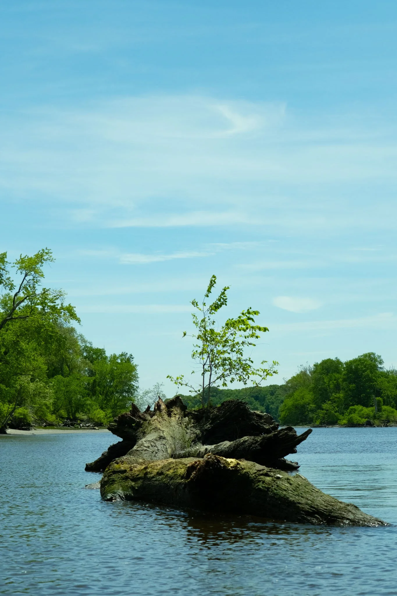 DSCF0800.jpg