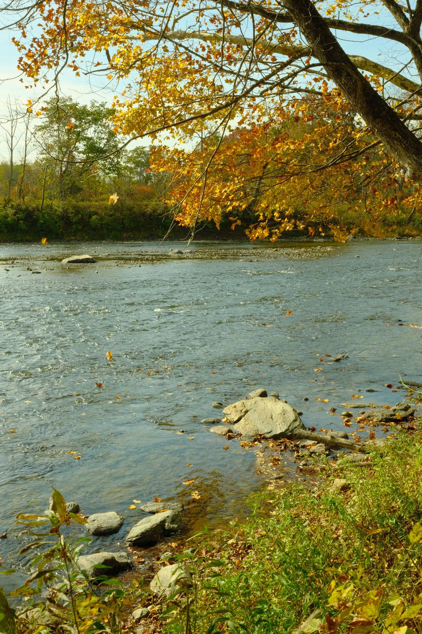 DSCF3636.jpg