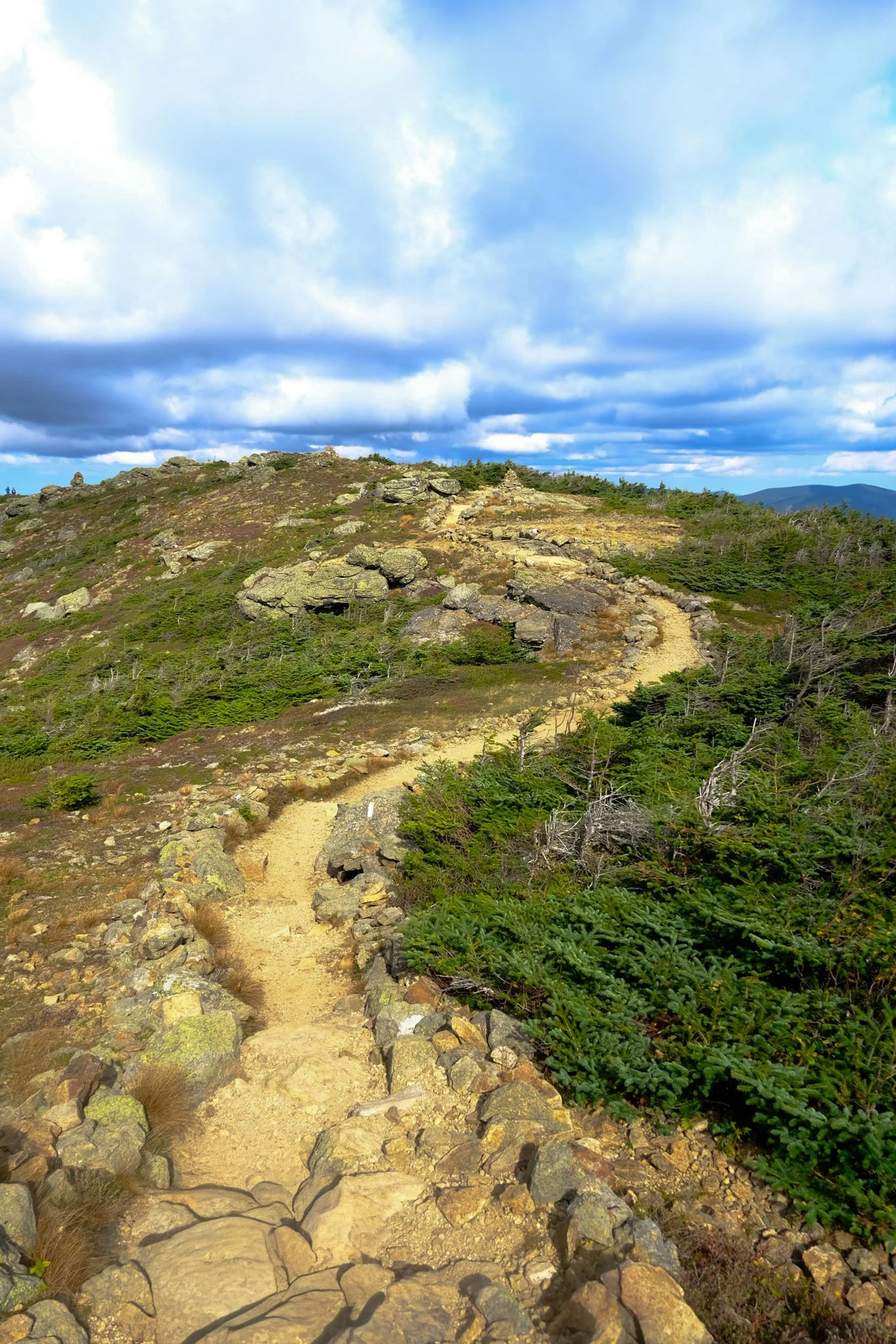 DSCF7735.jpg