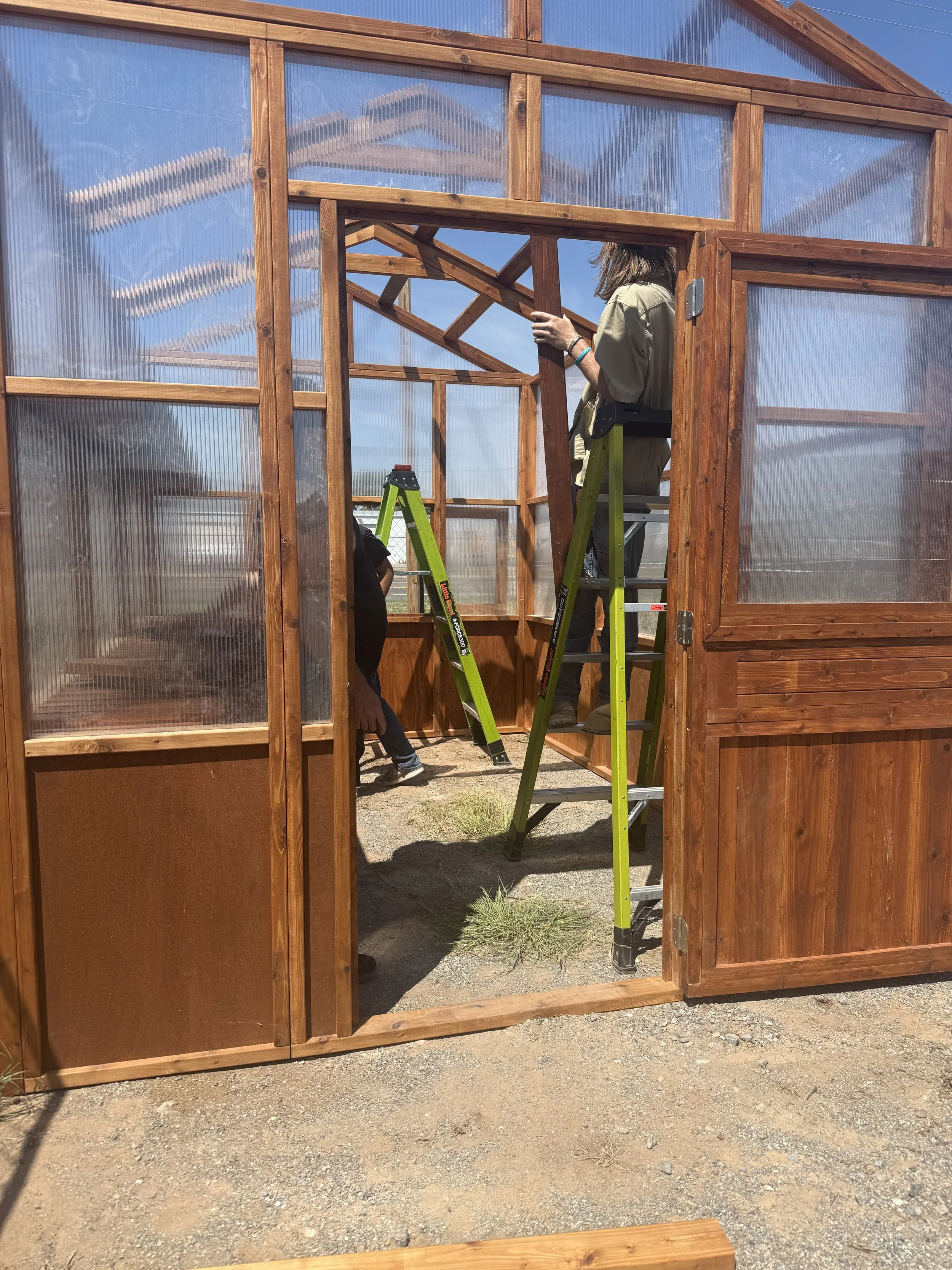 Person on a ladder assembling a cedar greenhouse