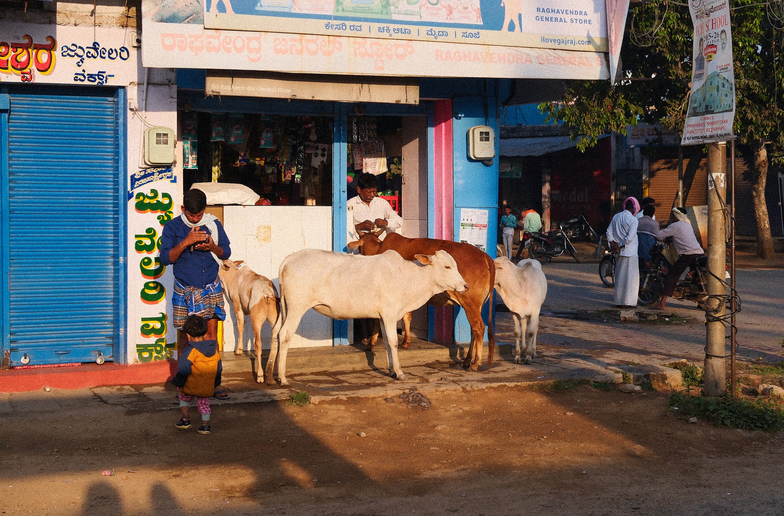 Consulting & Training