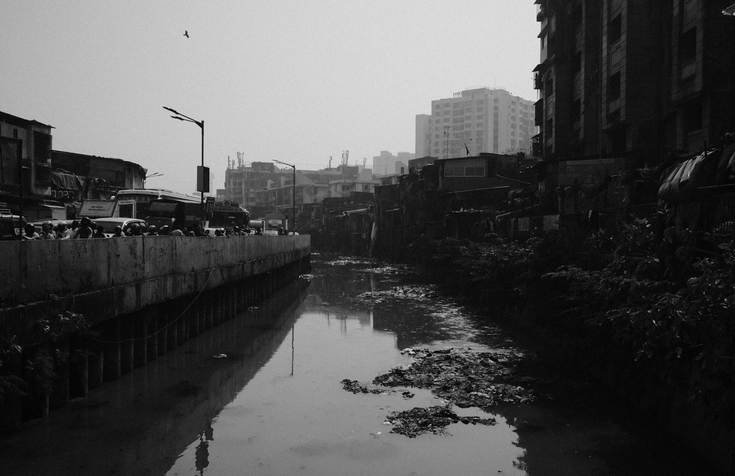 A black and white photo of an urban area with a canal or drainage ditch running through the center, reflecting buildings and the sky. Overgrown vegetation and debris line the banks, with high-rise buildings in the background and a group of people standing along a fence on the left side.