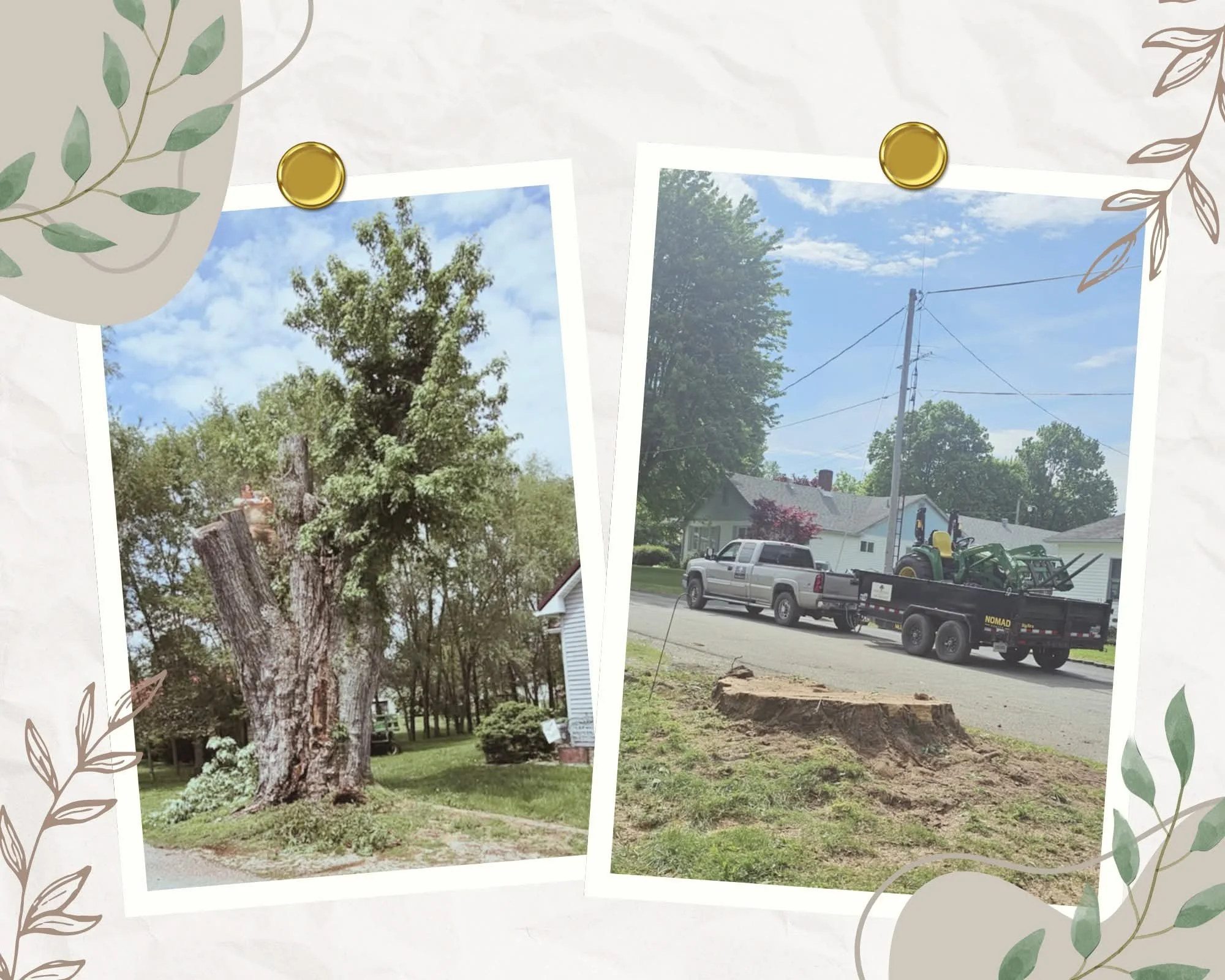 Left photo shows a large tree with trimmed branches and a cloudy sky in the background. Right photo shows a tree stump with a truck carrying a tractor and other machinery parked on a residential street, with trees and houses in the background.