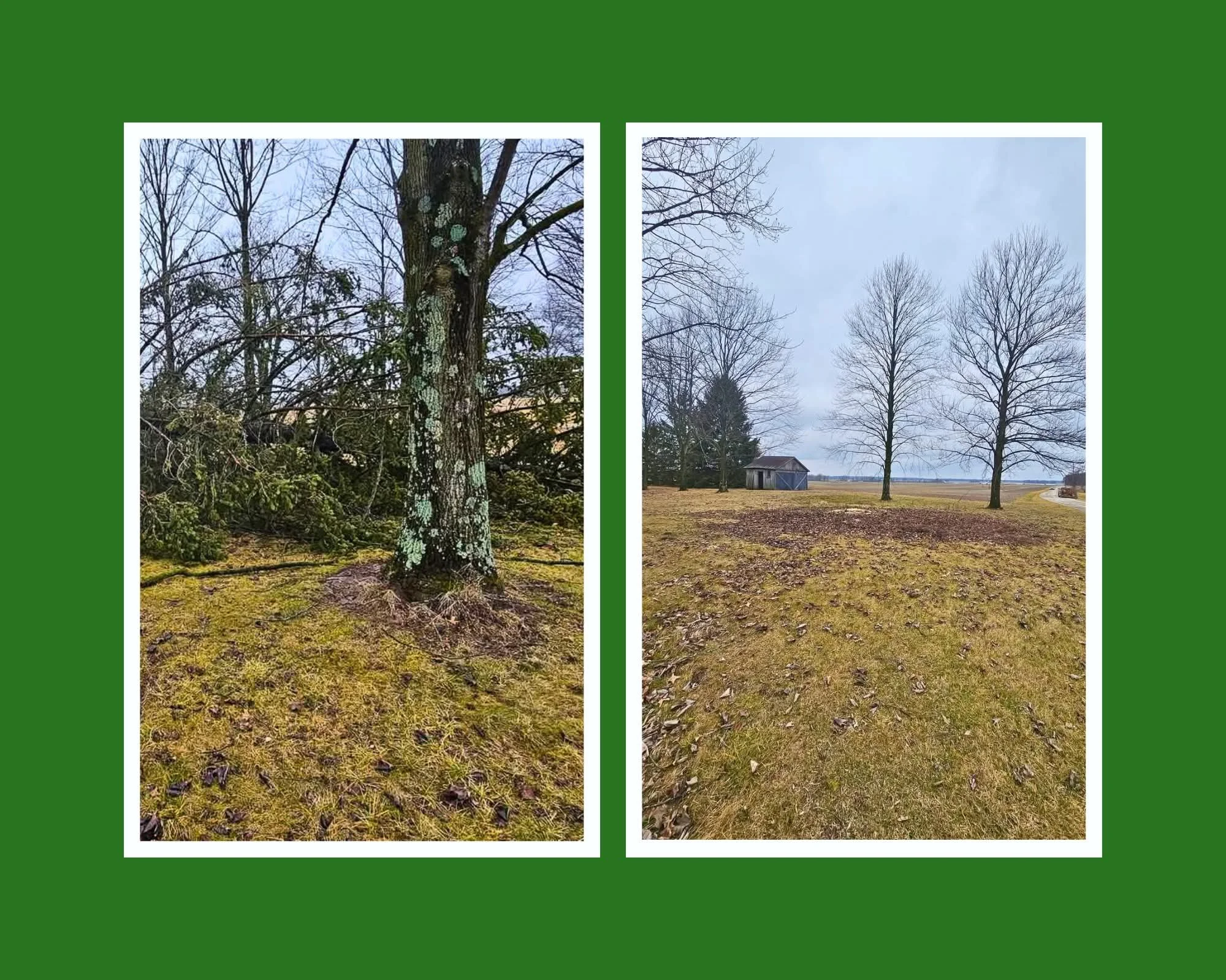 Two photographs of outdoor scenery with trees, grass, and a cloudy sky, placed side by side on a green background.