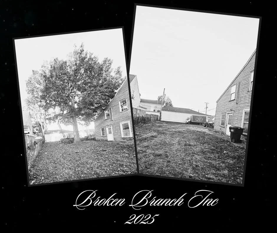 Black-and-white photo of a house yard with a large tree, featuring two tilted framed photos of the same yard, and text reading "Broken Branch Inc 2025" at the bottom.