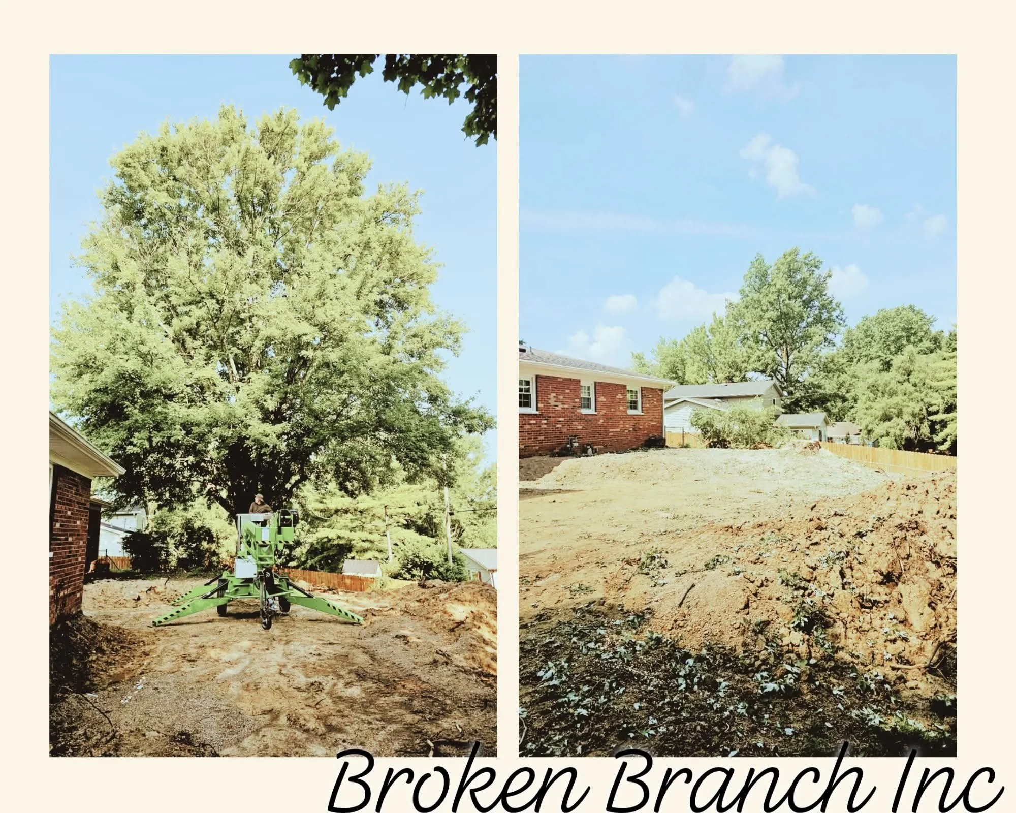 Left side shows a large green tree with a worker on a lift trimming branches. Right side shows a cleared area with soil and a house in the background.
